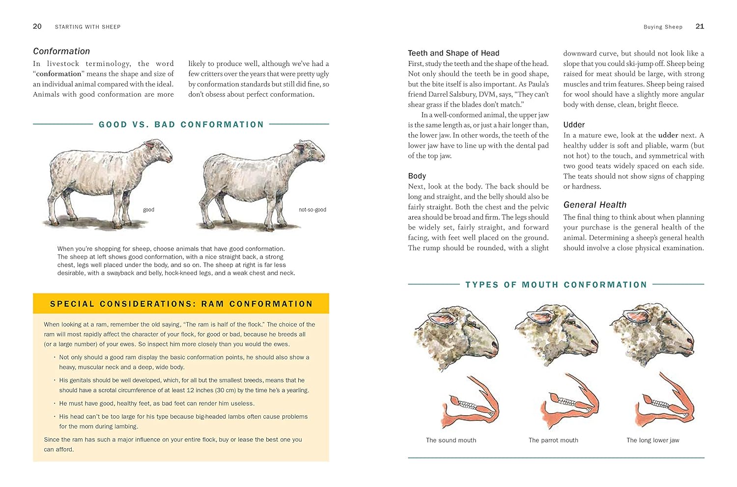 Storey's Guide to Raising Sheep, 5th Edition: Breeding, Care, Facilities – by Paula Simmons and Carol Ekarius