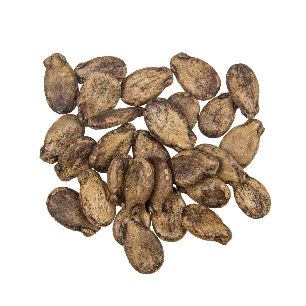 Brim Seed Co. - Sugar Baby Watermelon Heirloom Seed