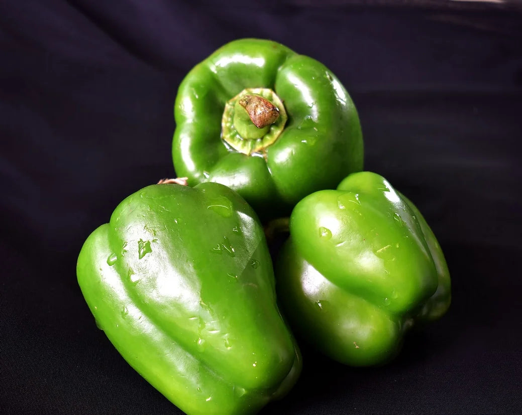 Brim Seed Co. - Sweet Green California Wonder 300 Bell Pepper Heirloom Seed