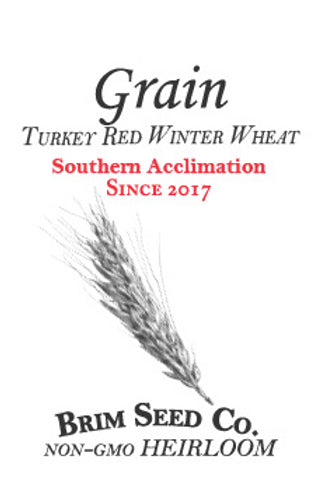 Brim Seed Co. - Southern Acclimated Turkey Red Winter Wheat Grain Heirloom Seed