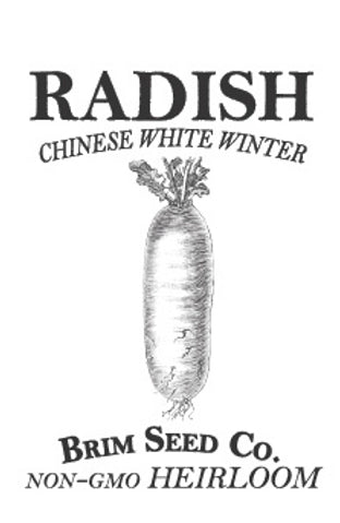 Brim Seed Co. - Chinese White Winter Radish Heirloom Seed