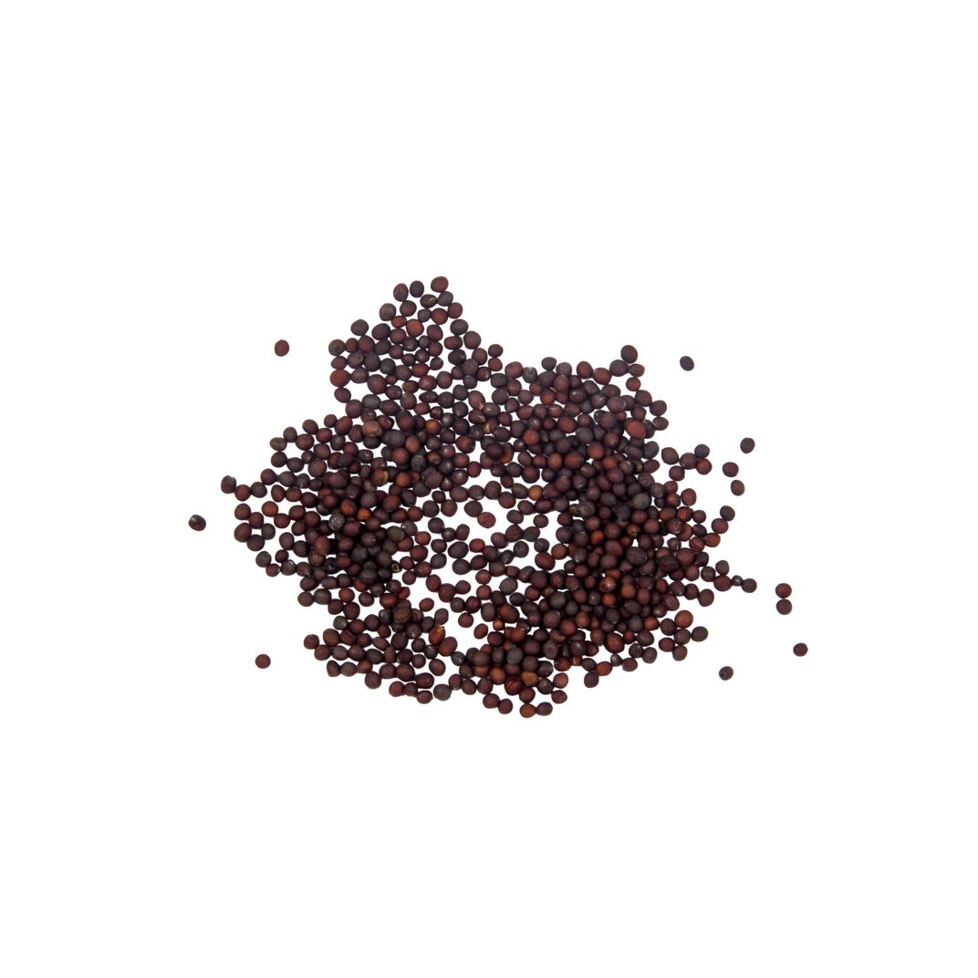 Brim Seed Co. - White Egg Turnip Heirloom Seed