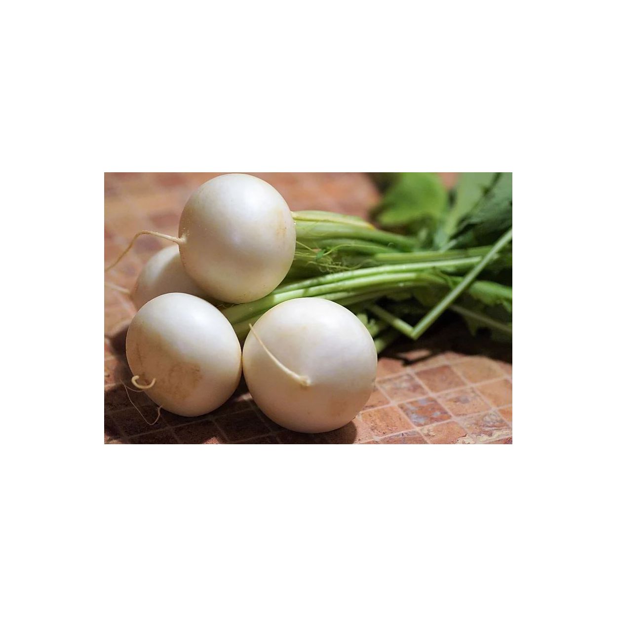 Brim Seed Co. - White Egg Turnip Heirloom Seed