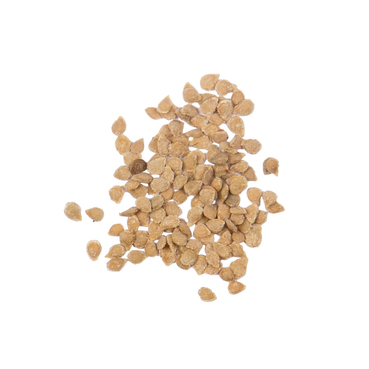 Brim Seed Co. - Yellow Pear Tomato Heirloom Seed