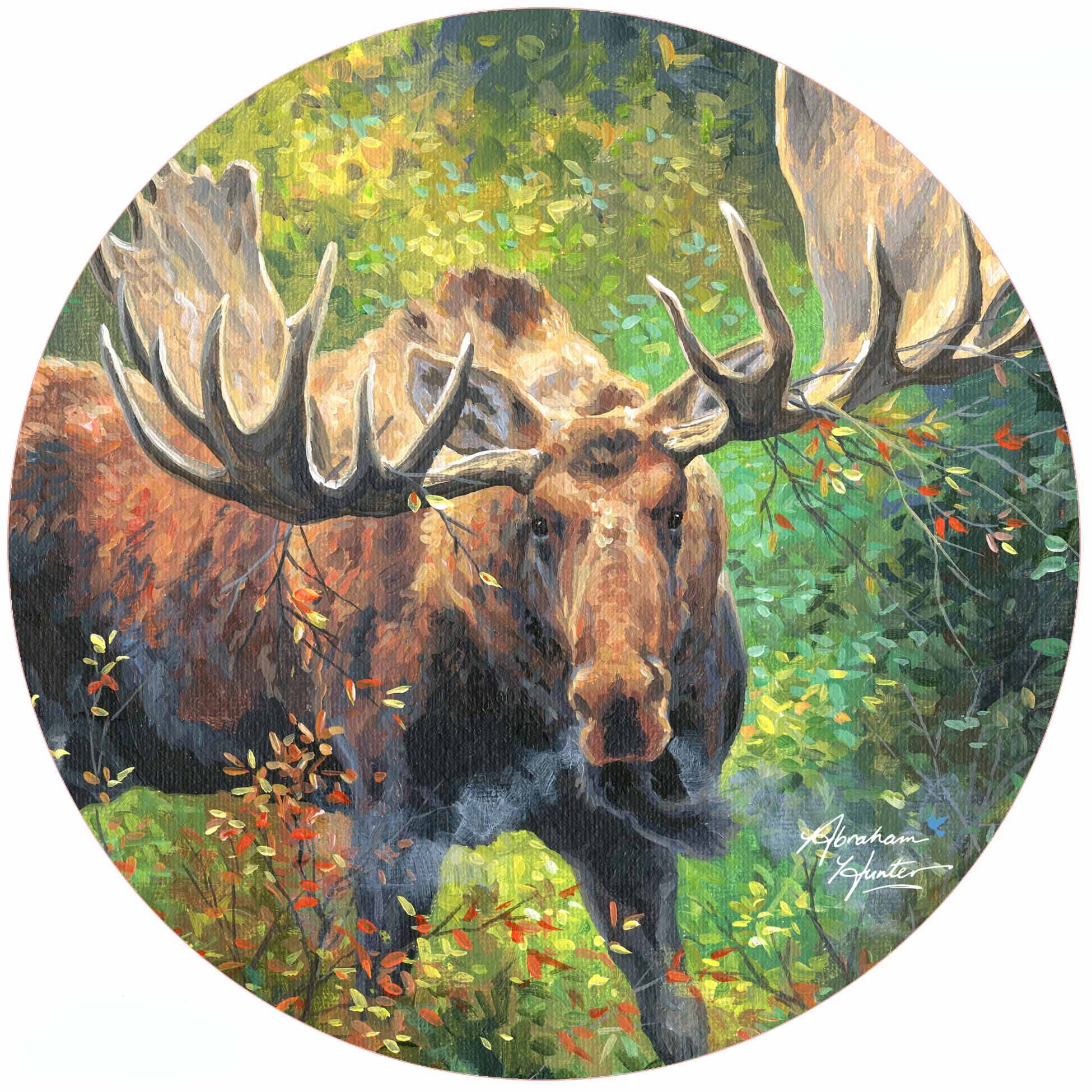 Andreas - AB Wide Load Jar Opener