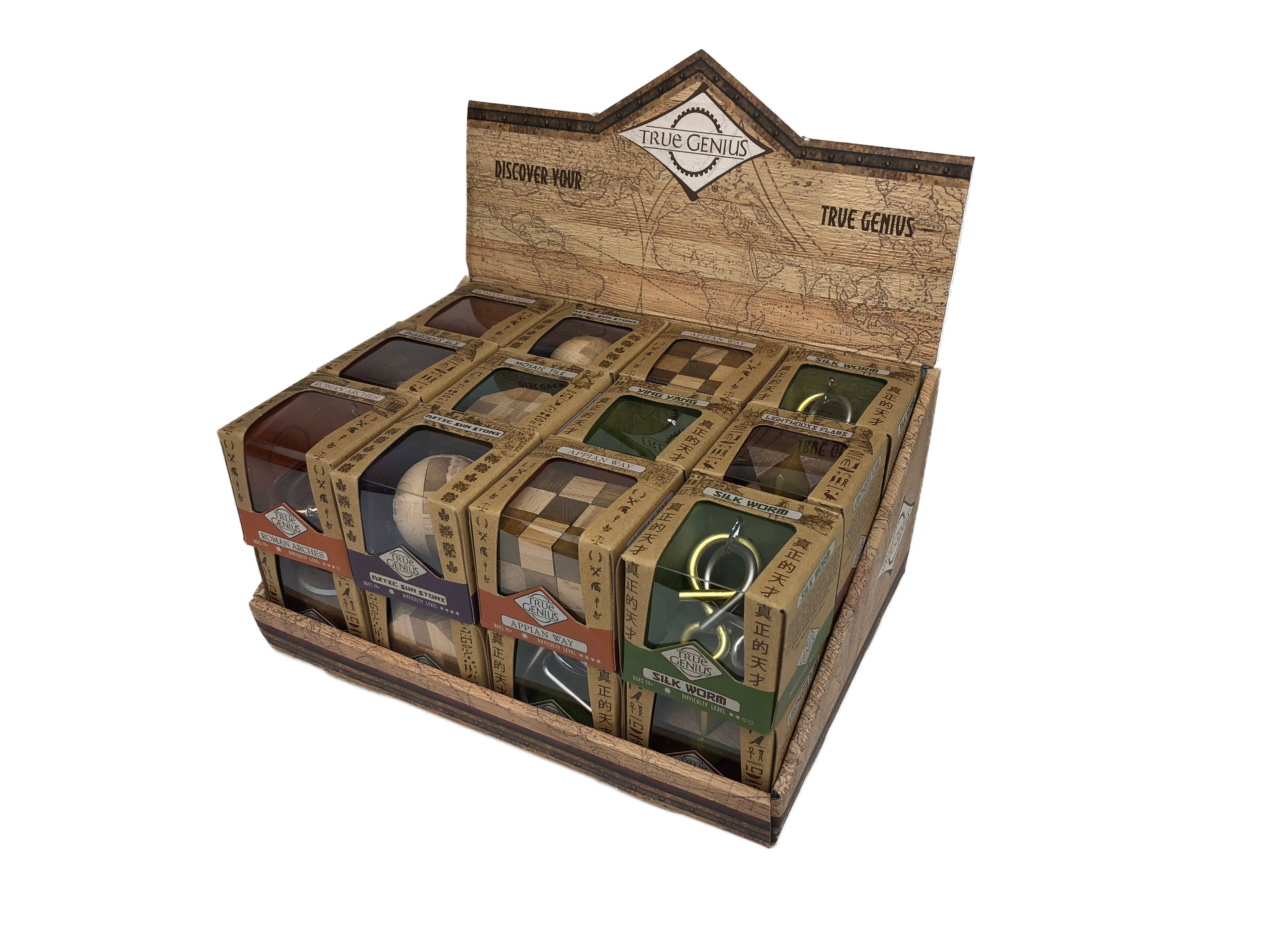 Project Genius True Genius wooden brain teaser puzzle