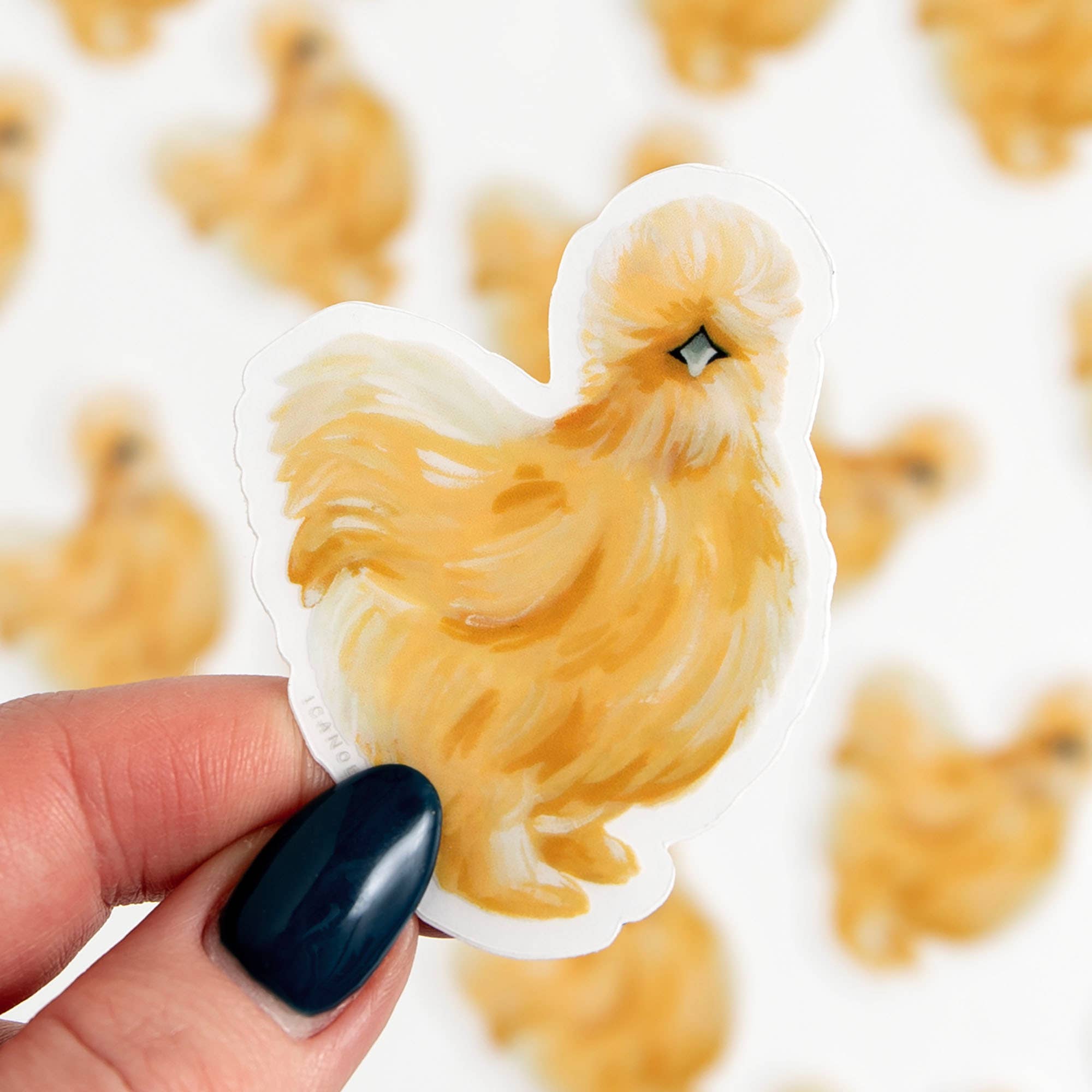 Silky Chicken Clear Decal Sticker
