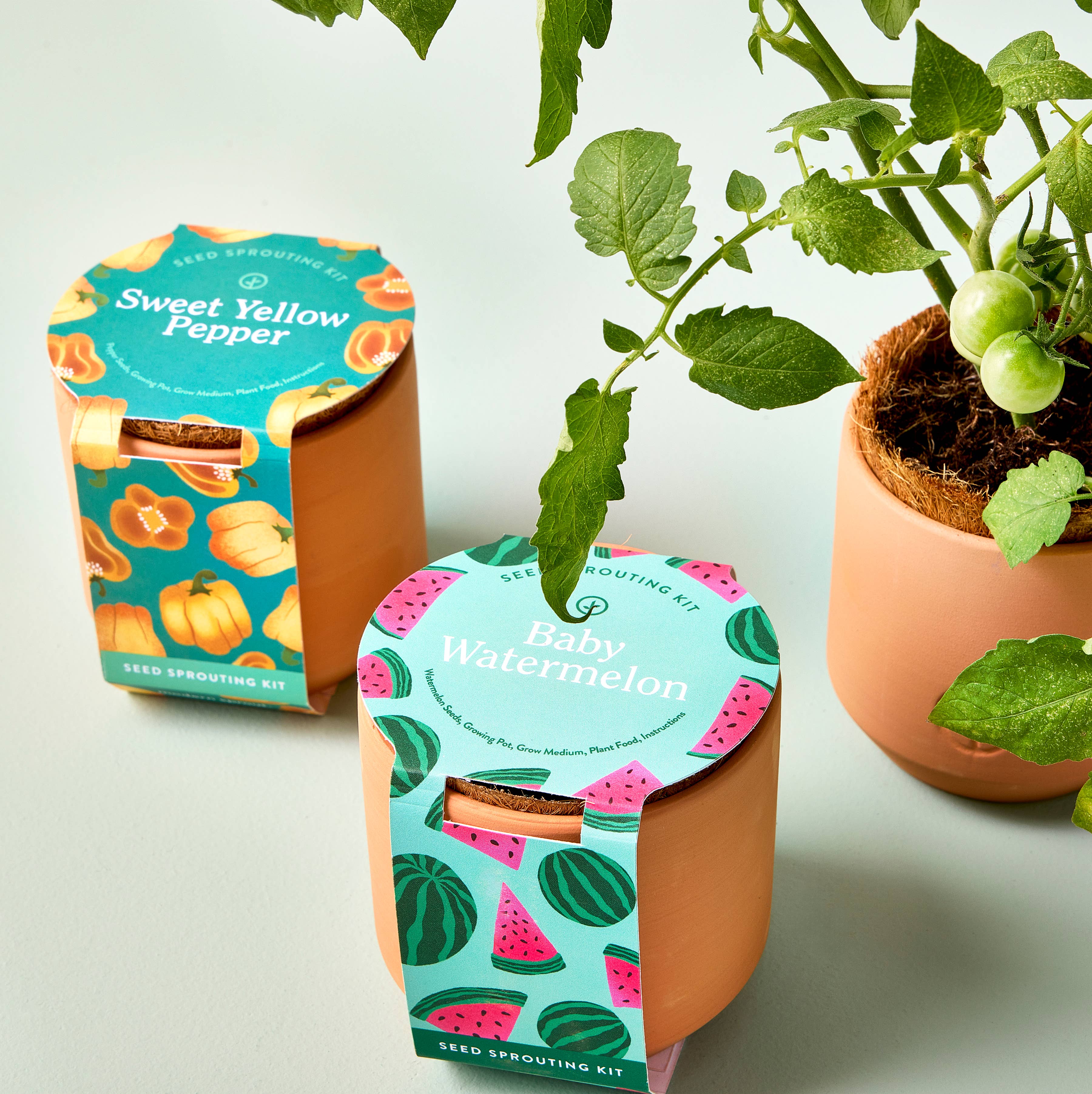 Tiny Terracotta Garden Kit with seeds and mini pot