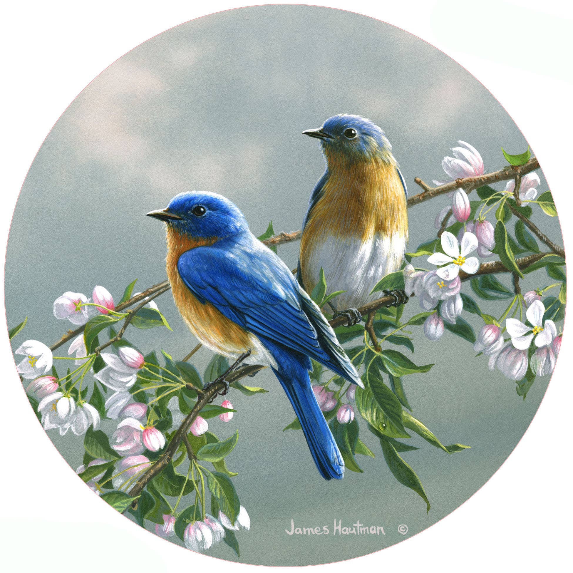 Andreas - HB Spring Blossom Bluebirds Jar Opener