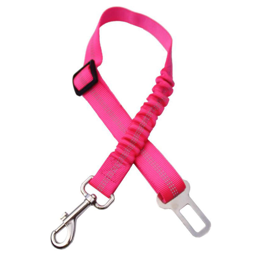 Car elastic safety leash for pets close-up