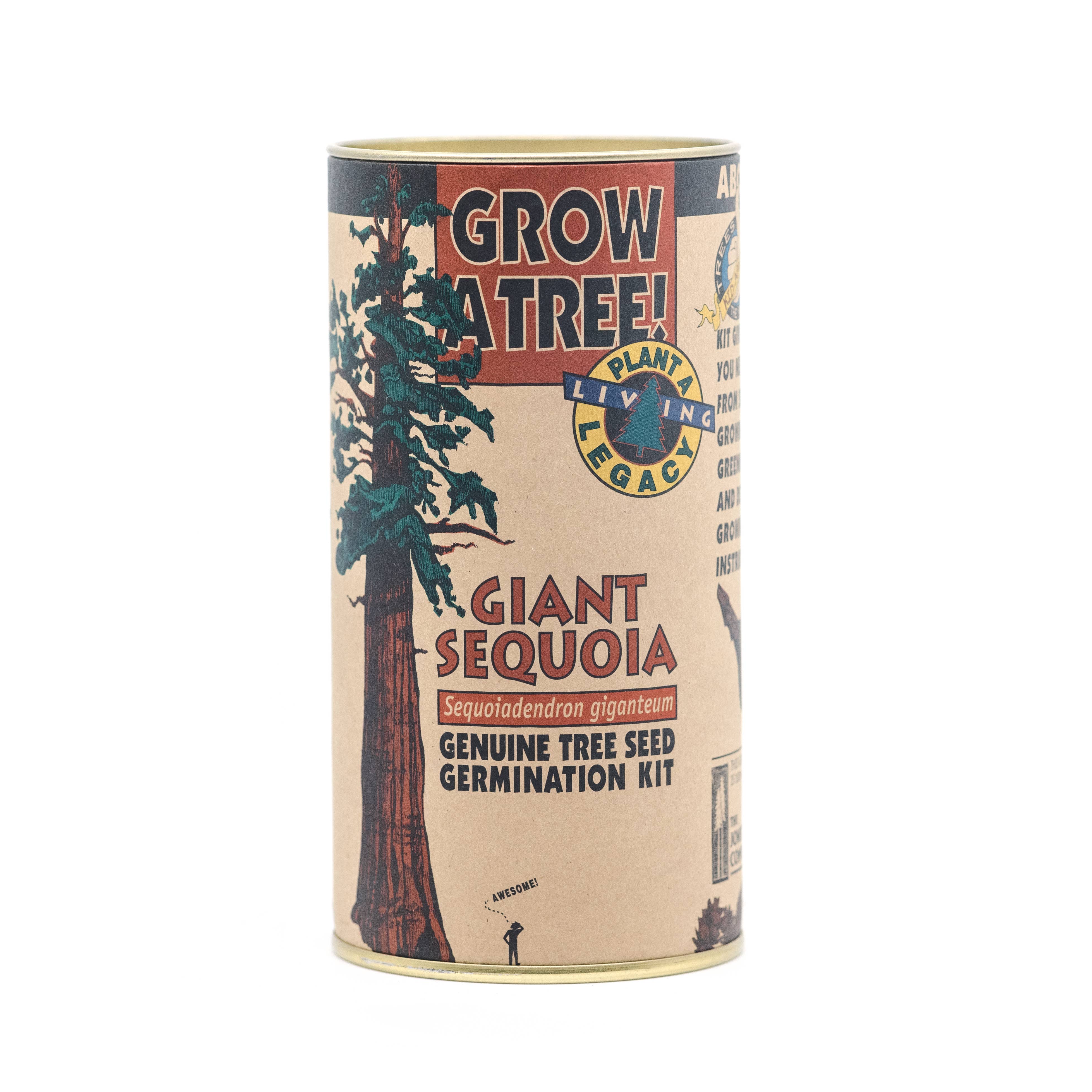 Jonsteen Company Giant Sequoia seed grow kit