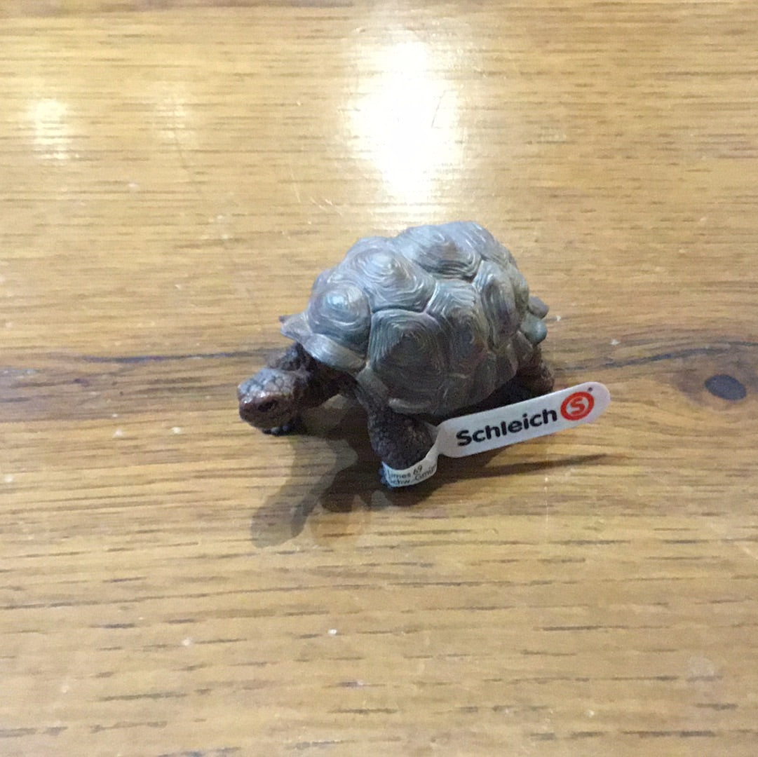 Schleich Giant Tortoise collectible animal figurine