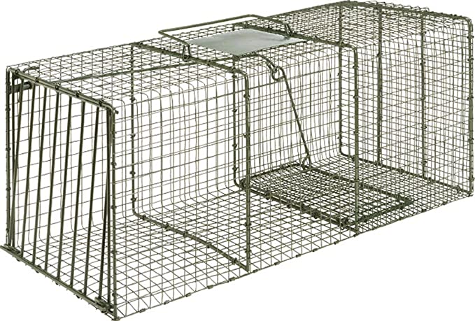 Duke Live Trap for humane animal capture