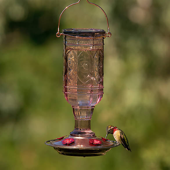 More Birds hummingbird feeder with red base