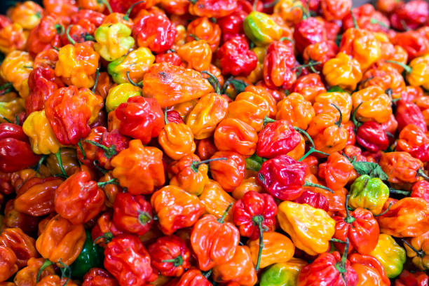 Hot Peppers