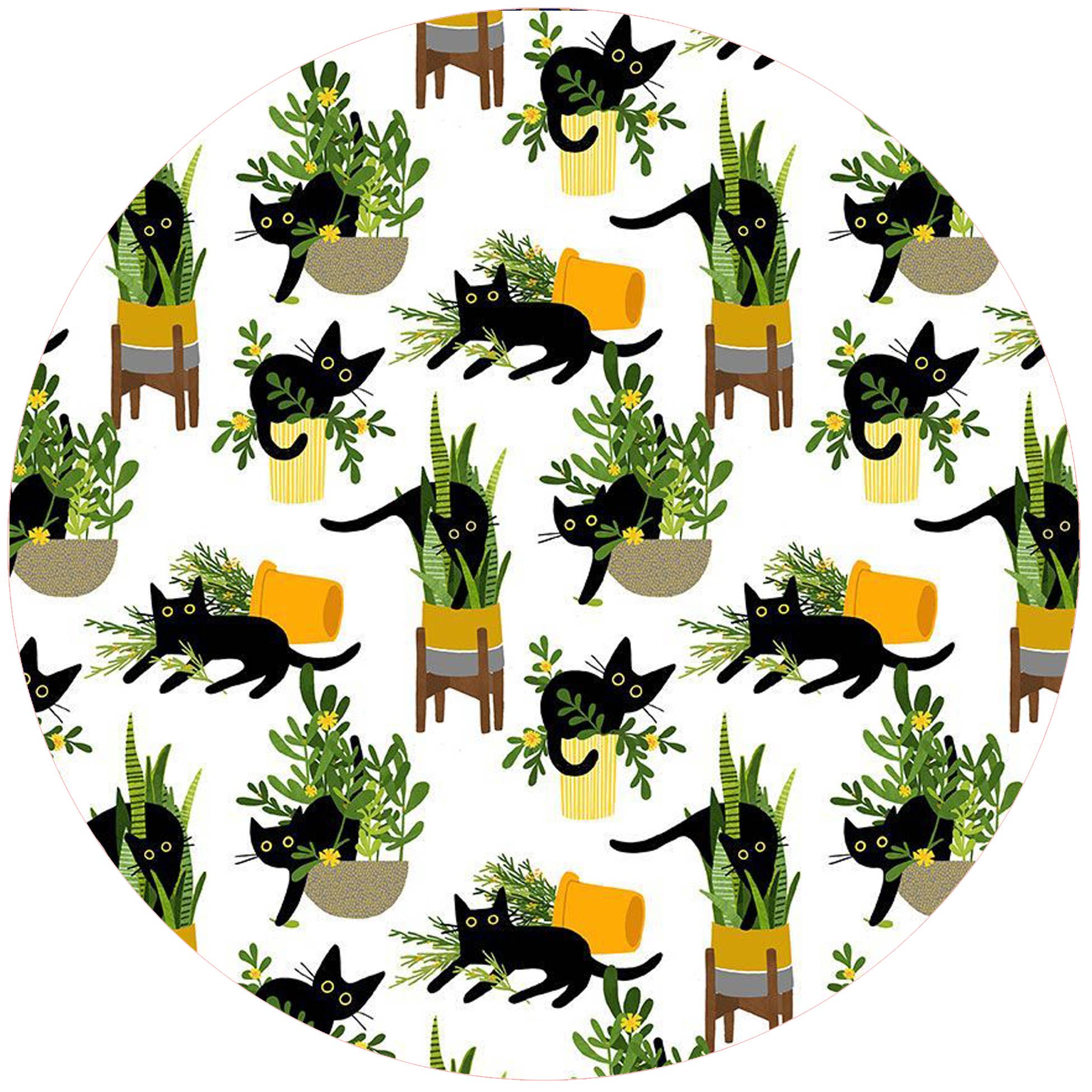 Plant Cats