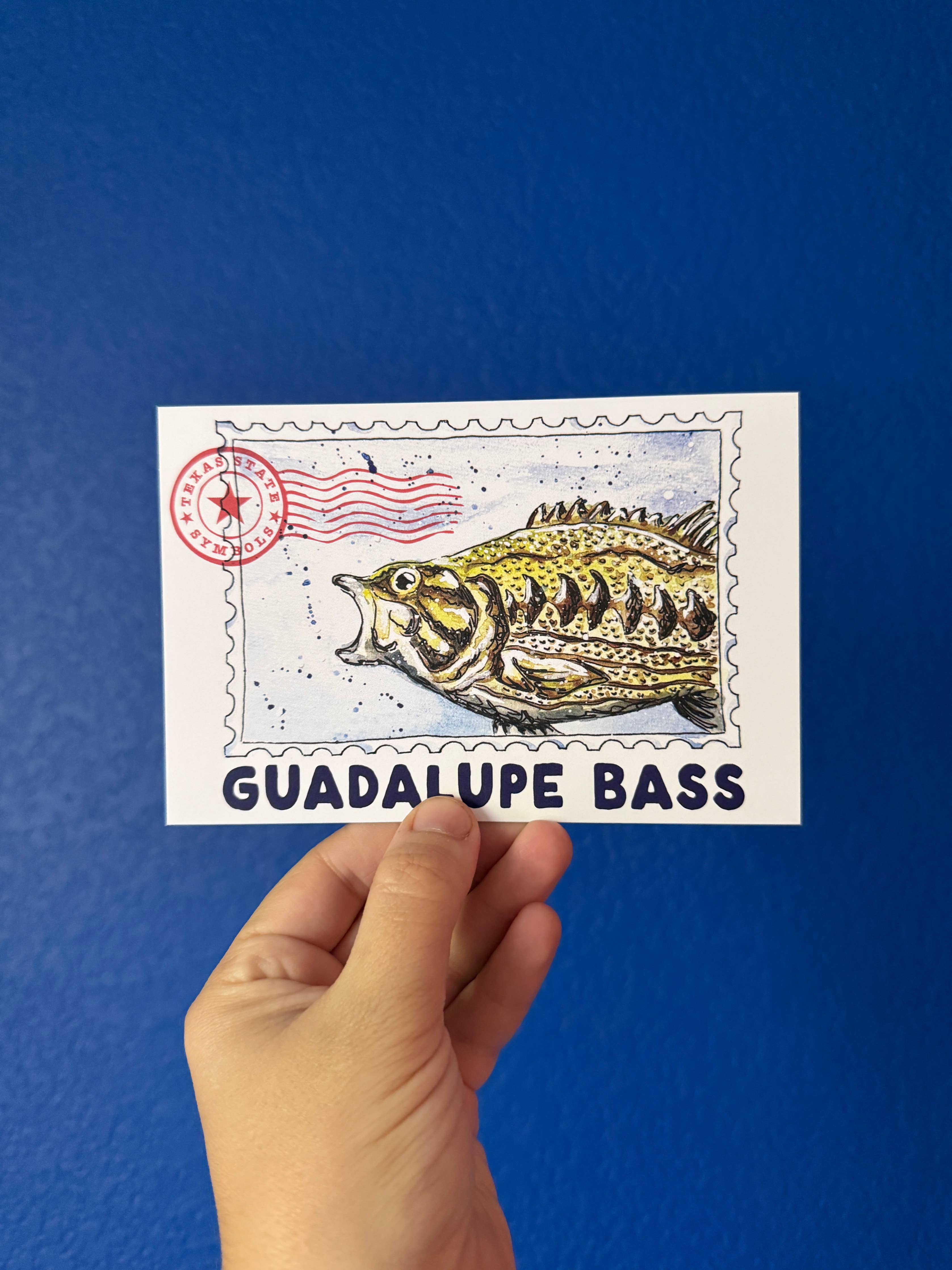 Guadalupe Bass 4x6 postcard