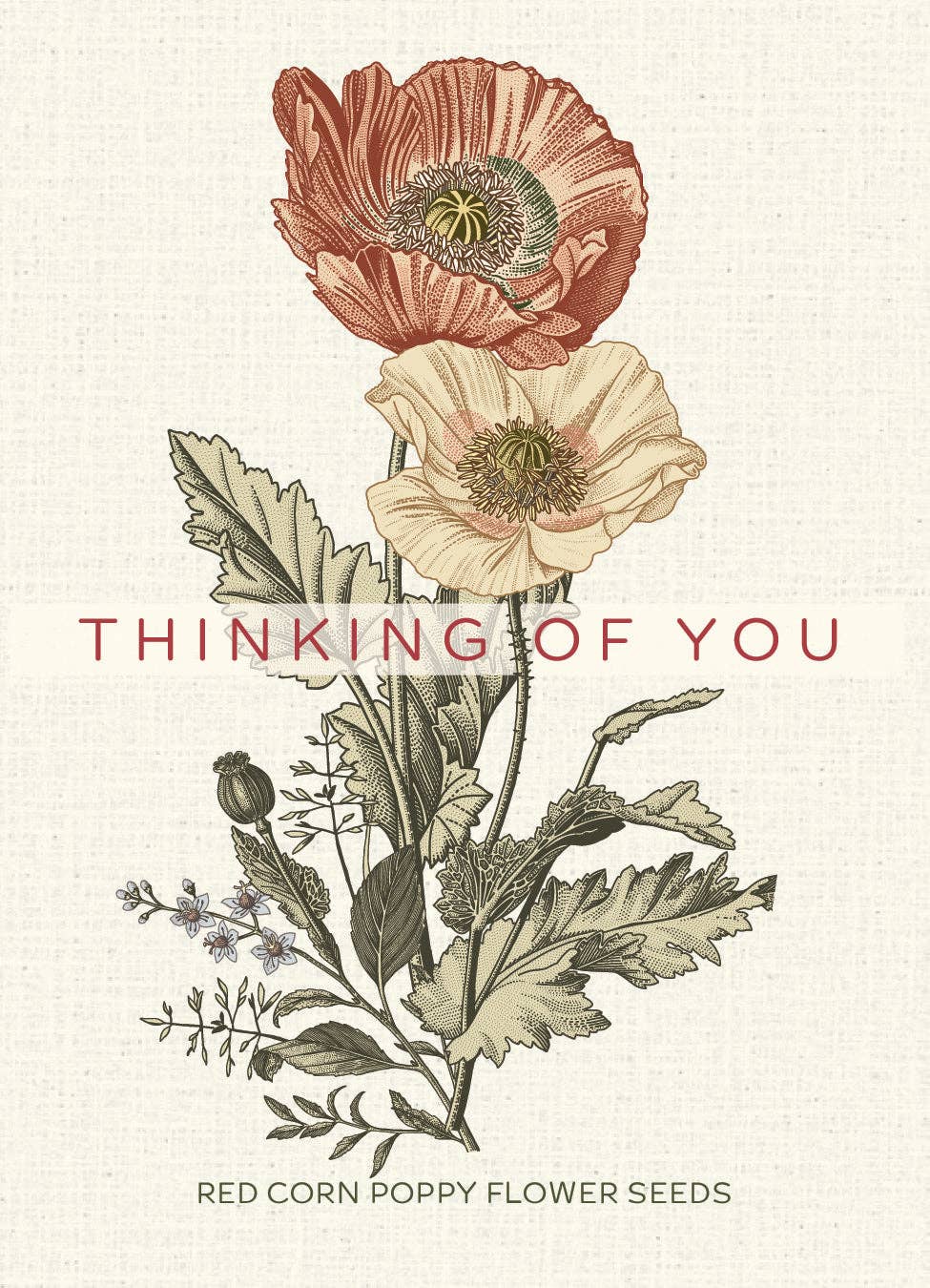 Thinking of You Corn Poppy seed packet vintage art design