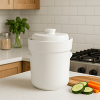 3L Ceramic Fermentation Crock- 2 Pack