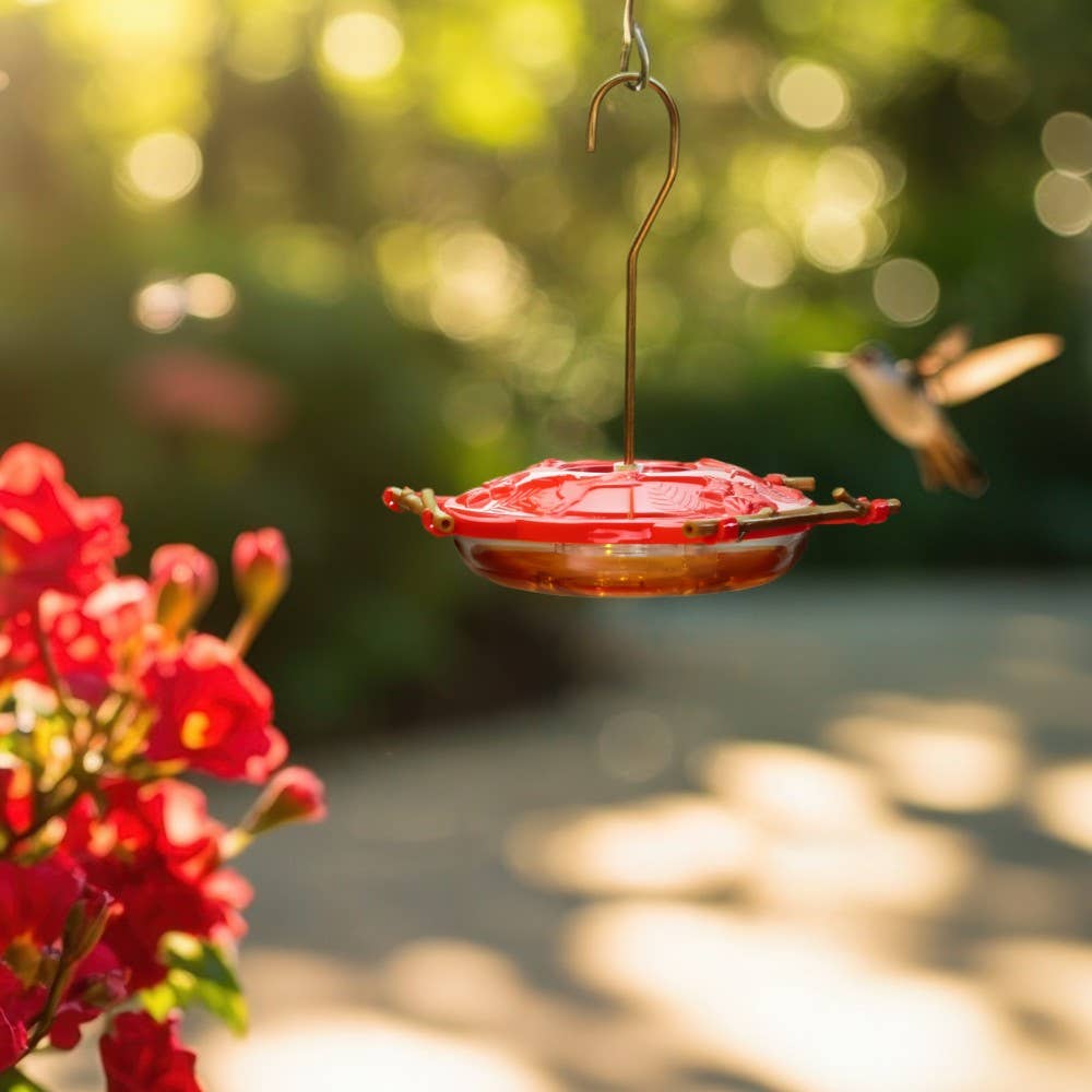 Pop's AspenPerch™ Hummingbird Feeder 8oz