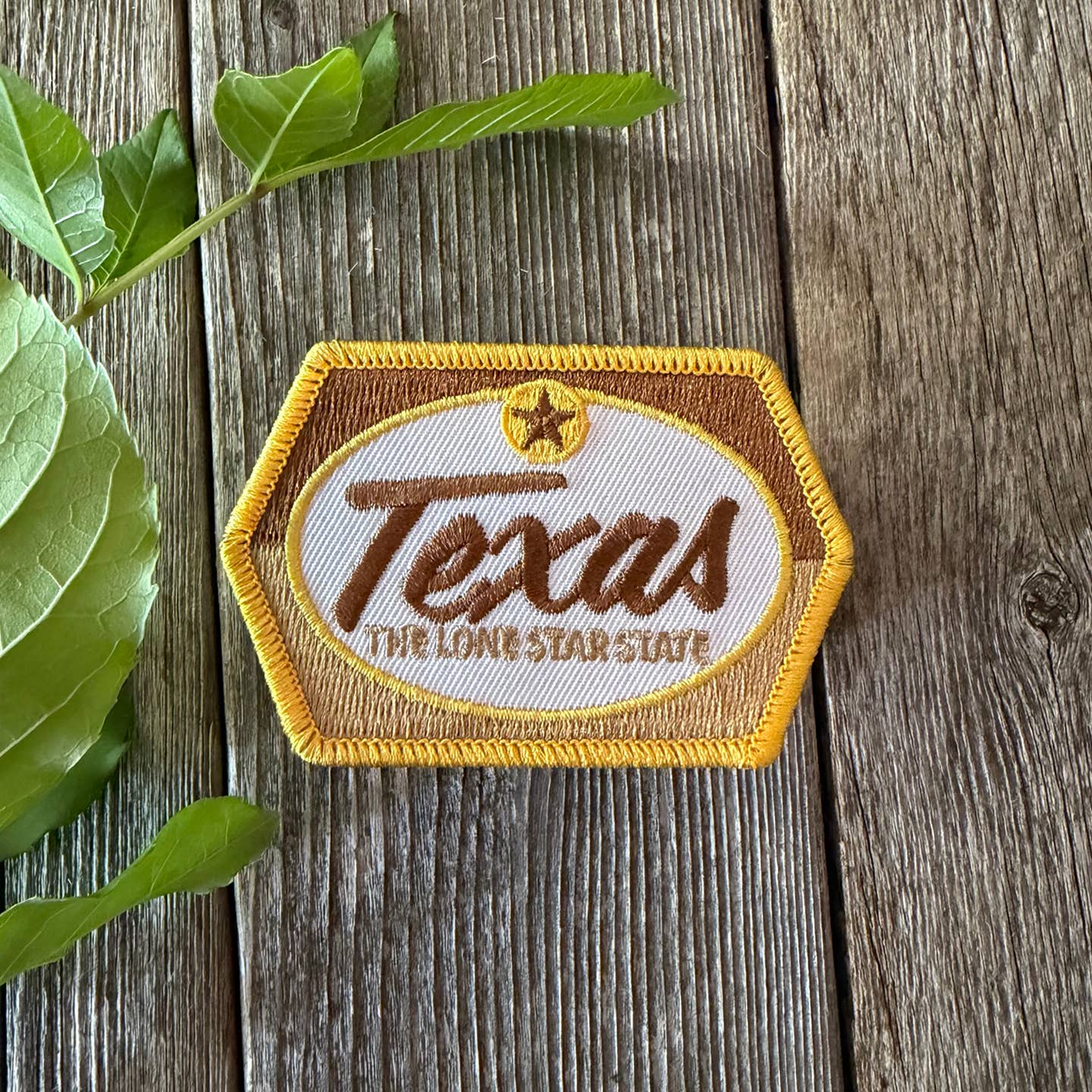 Texas Lone Star State Patch