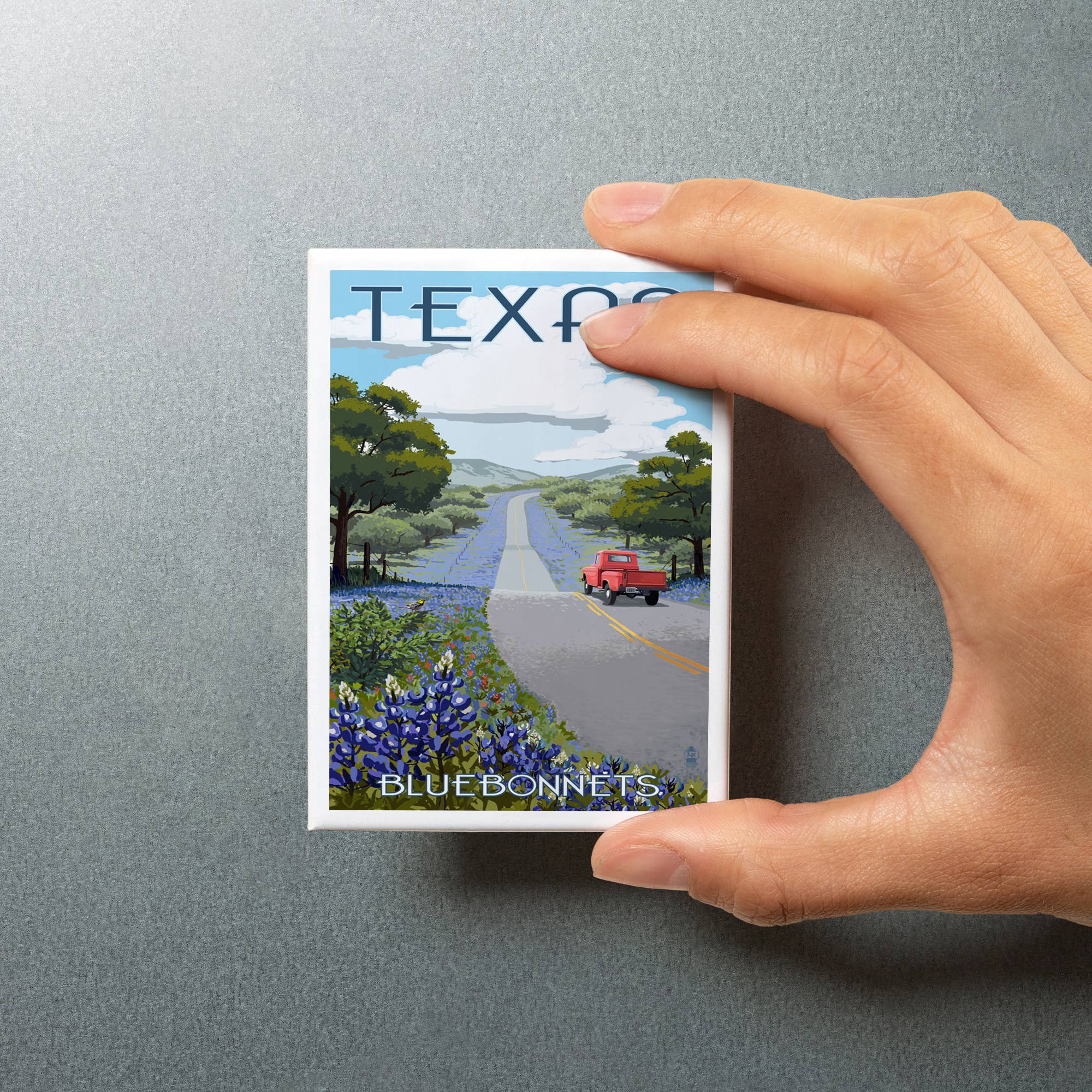 MAGNET Texas, Bluebonnets & Highway