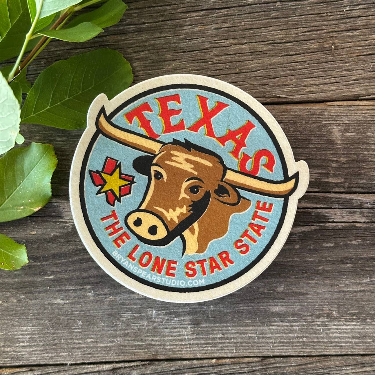 Texas Lone Star State Sticker close-up detail
