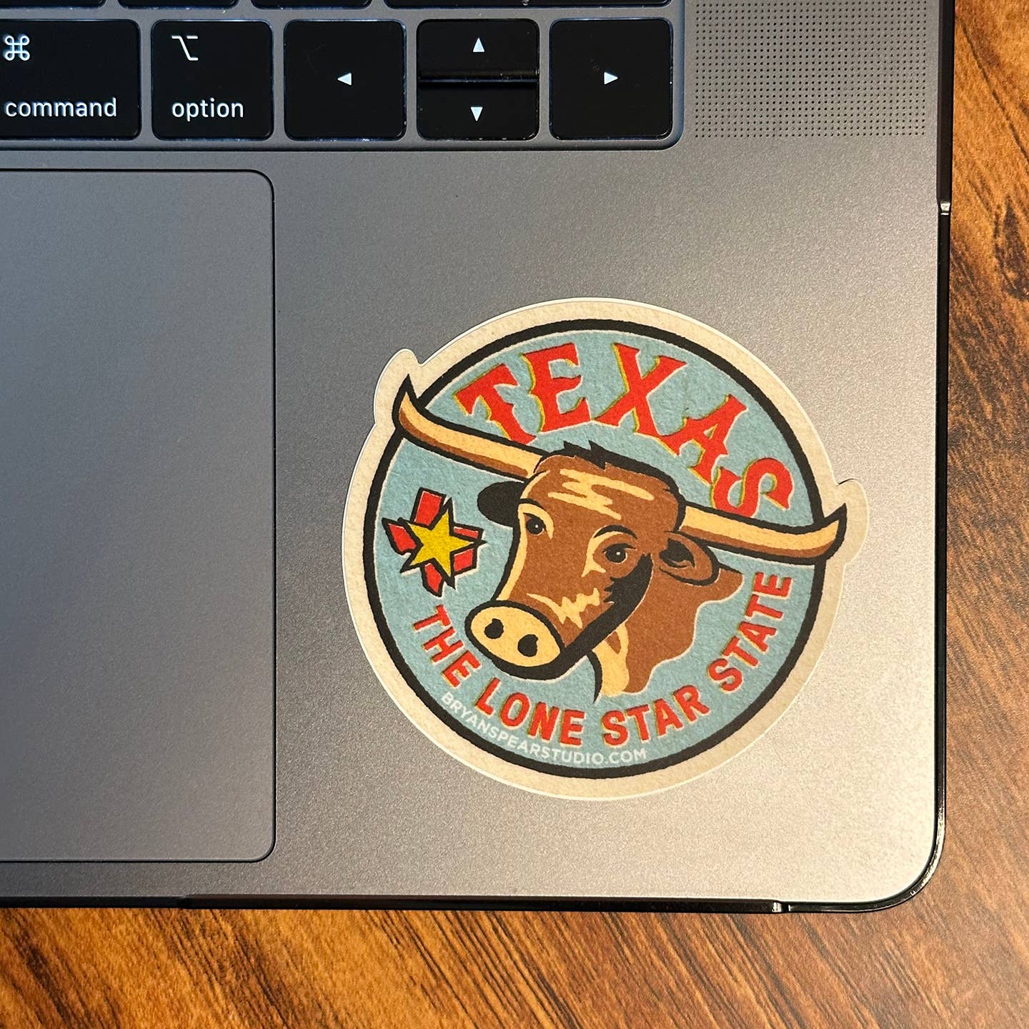 Texas Lone Star State Sticker on display