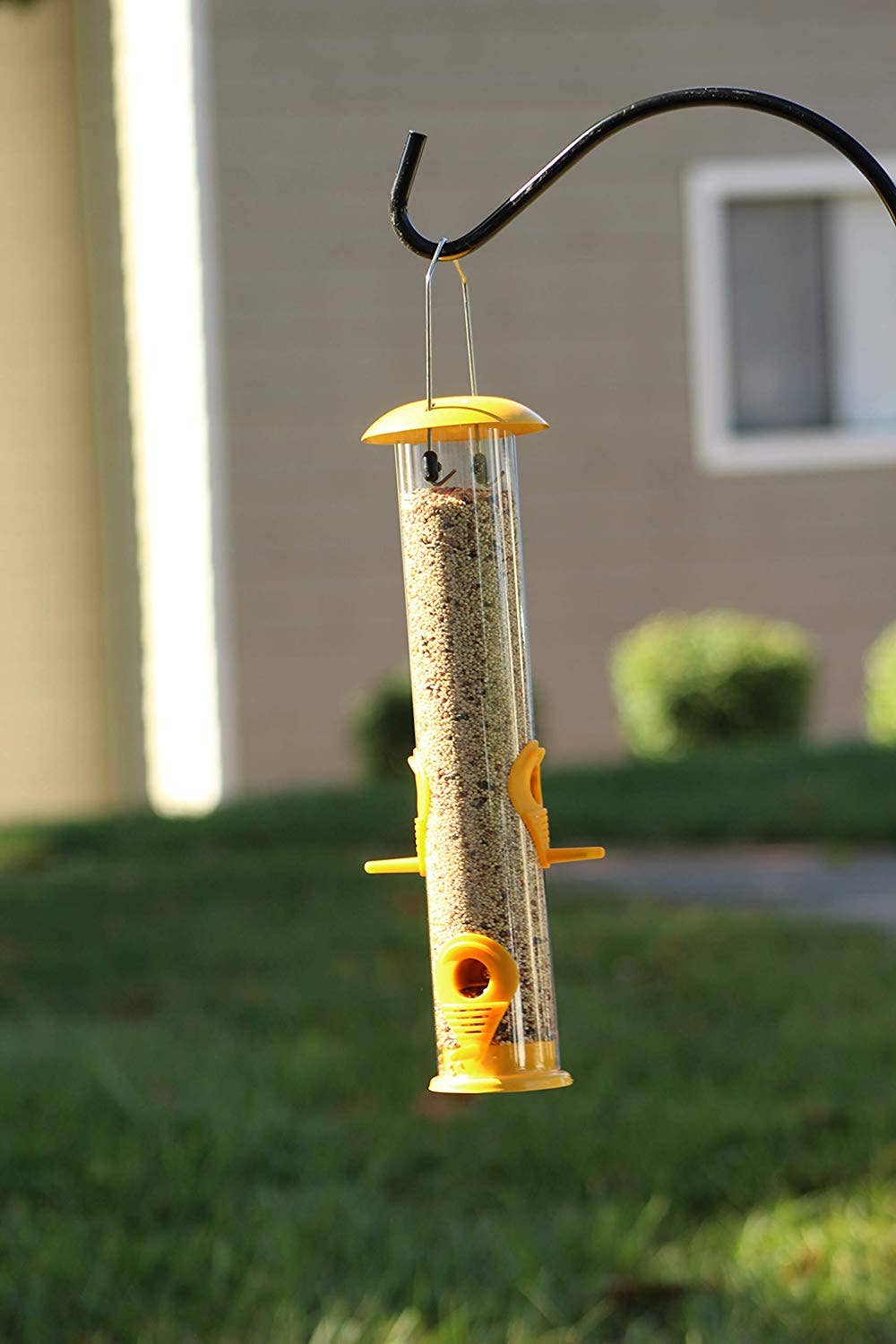 Ashman Bird Feeder, Metal Top and Bottom, Spacious Design, Attractive & Long Lasting