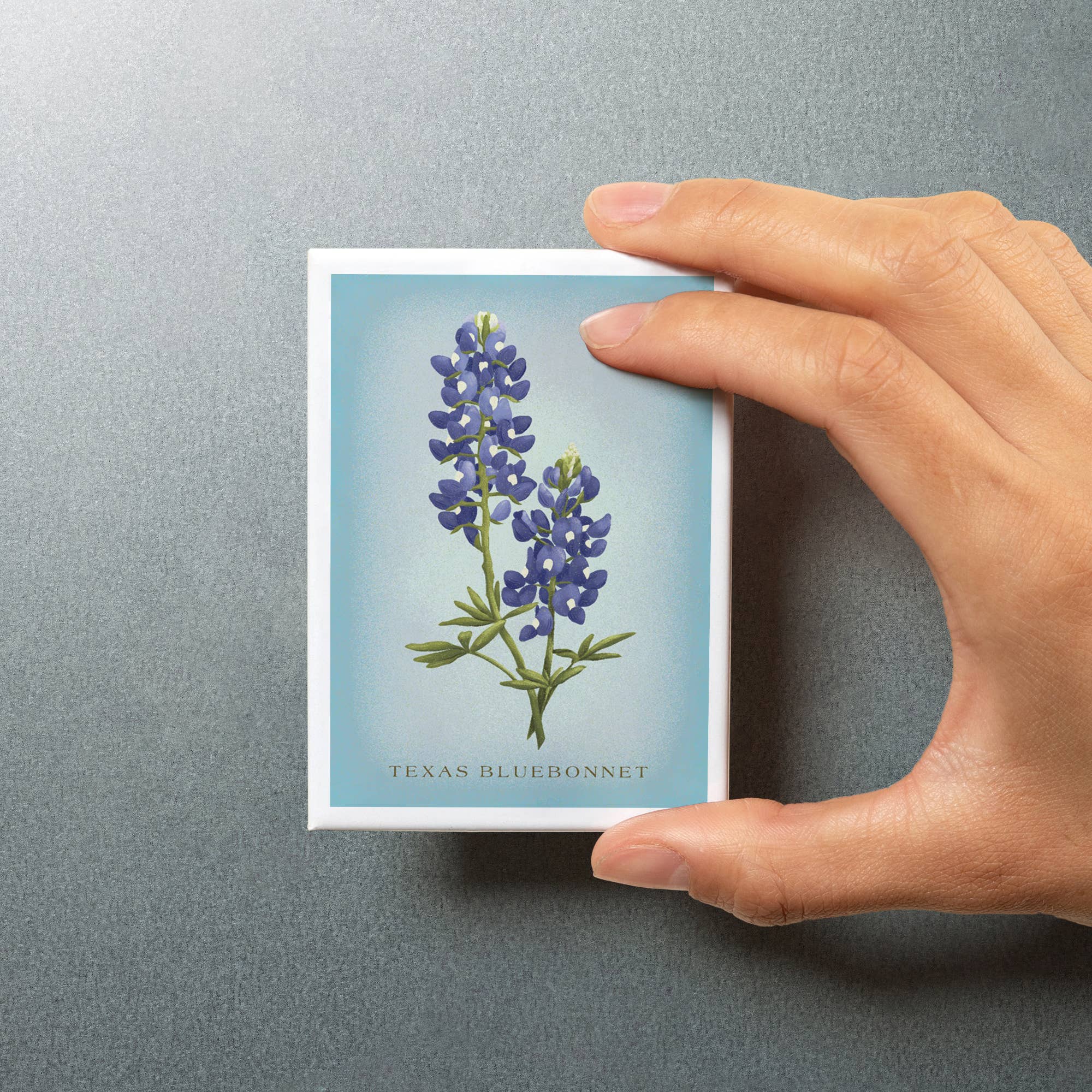 MAGNET Texas Bluebonnet, Vintage Flora