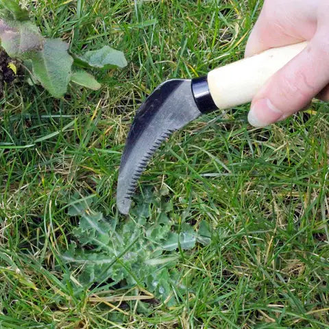 Carbon Steel Lawn Weeding Knife