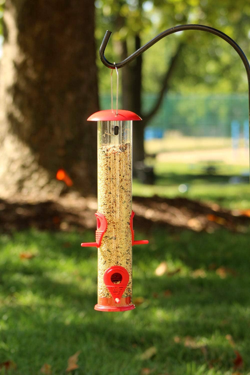 Ashman Bird Feeder, Metal Top and Bottom, Spacious Design, Attractive & Long Lasting