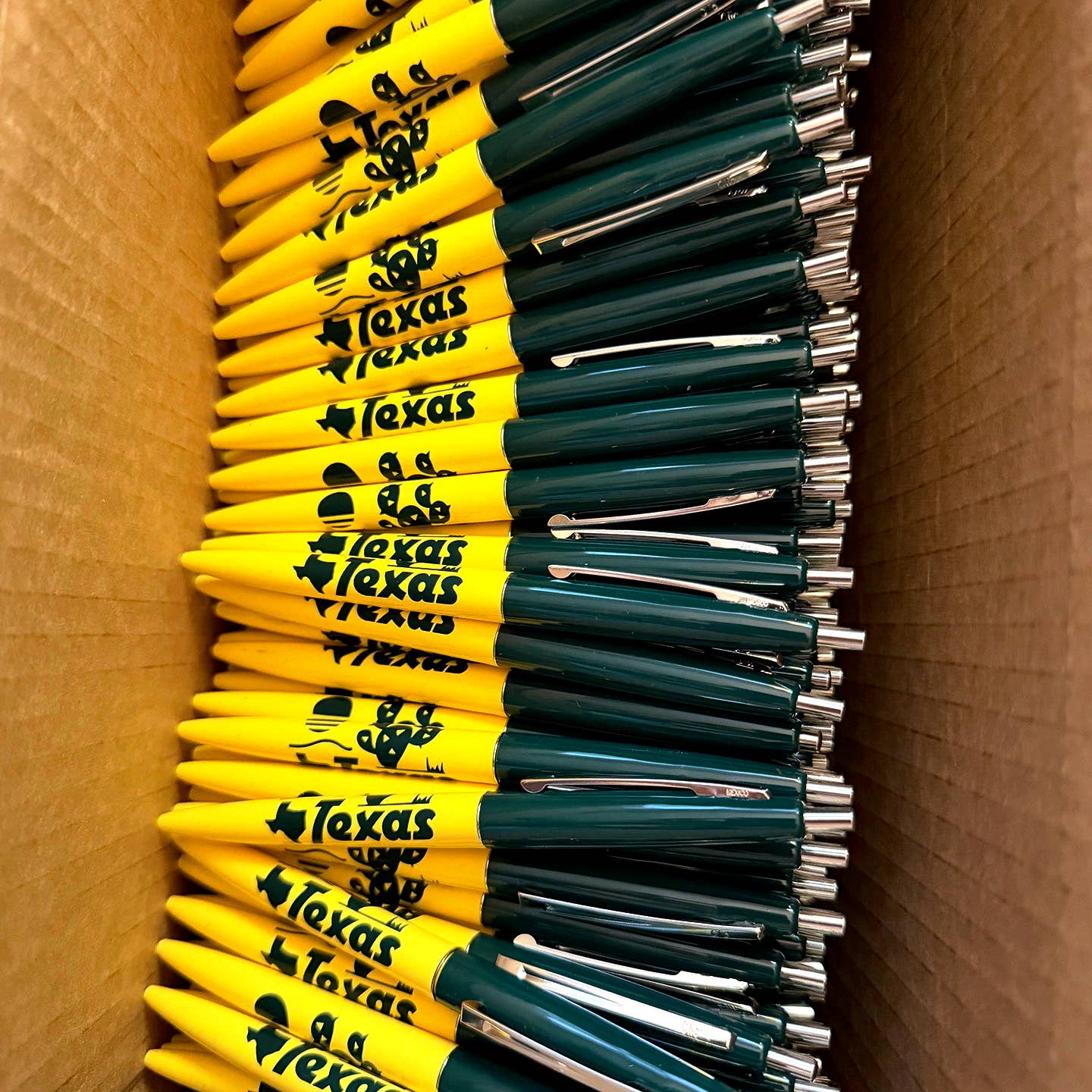 Texas Cactus Pen