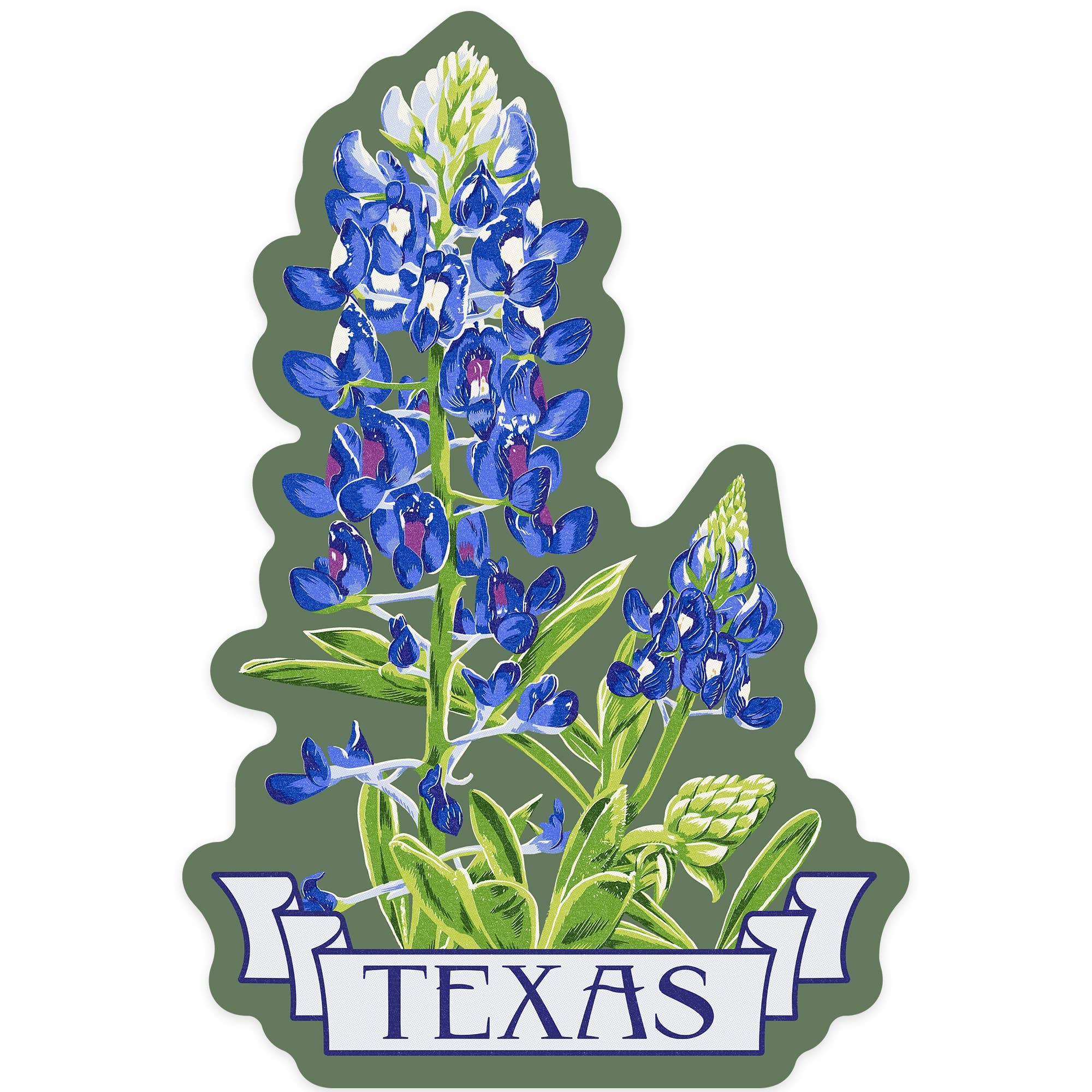 DIE CUT STICKER Texas, Bluebonnet, Letterpress