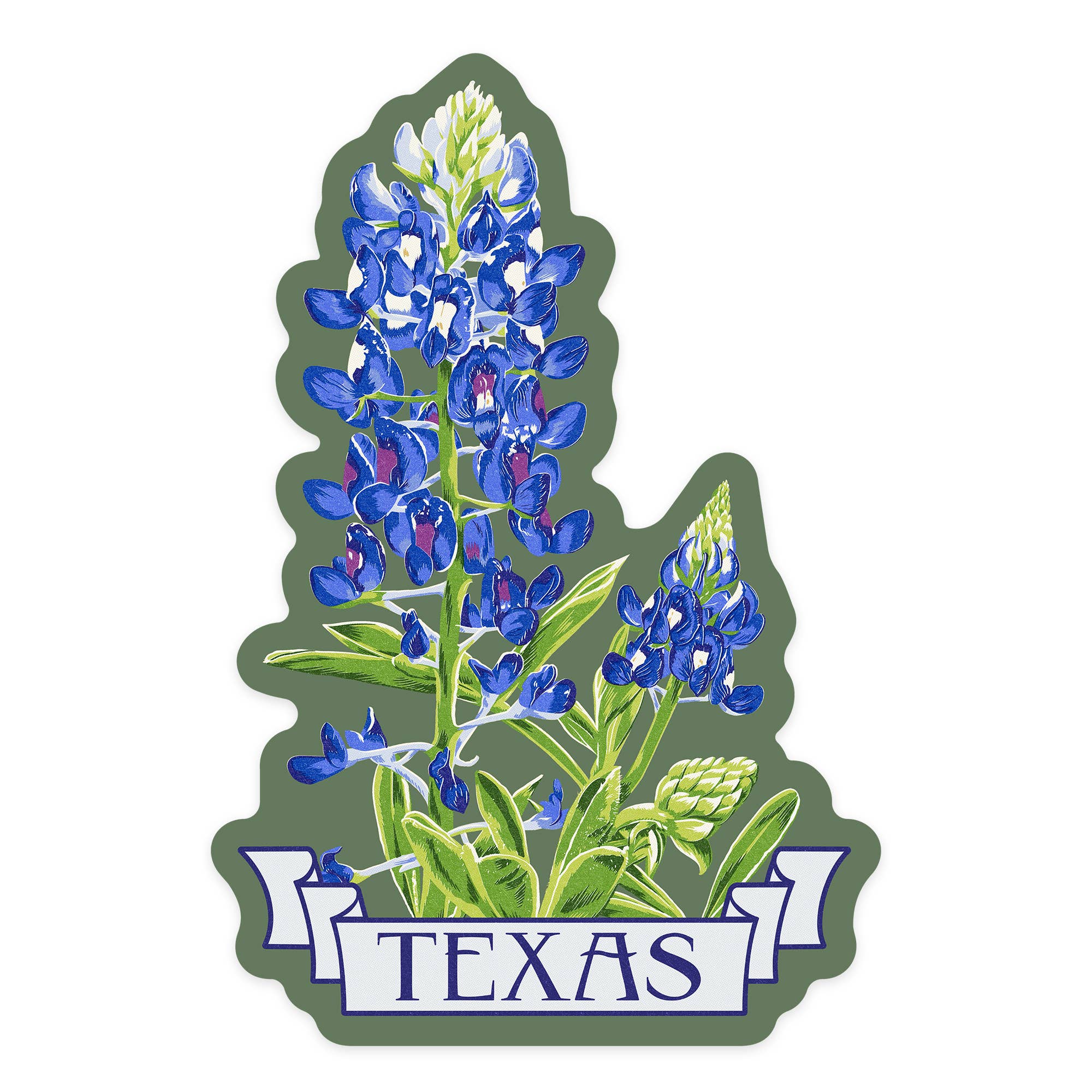 DIE CUT STICKER Texas, Bluebonnet, Letterpress