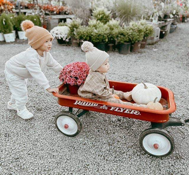 Radio Flyer Classic Red Wagon