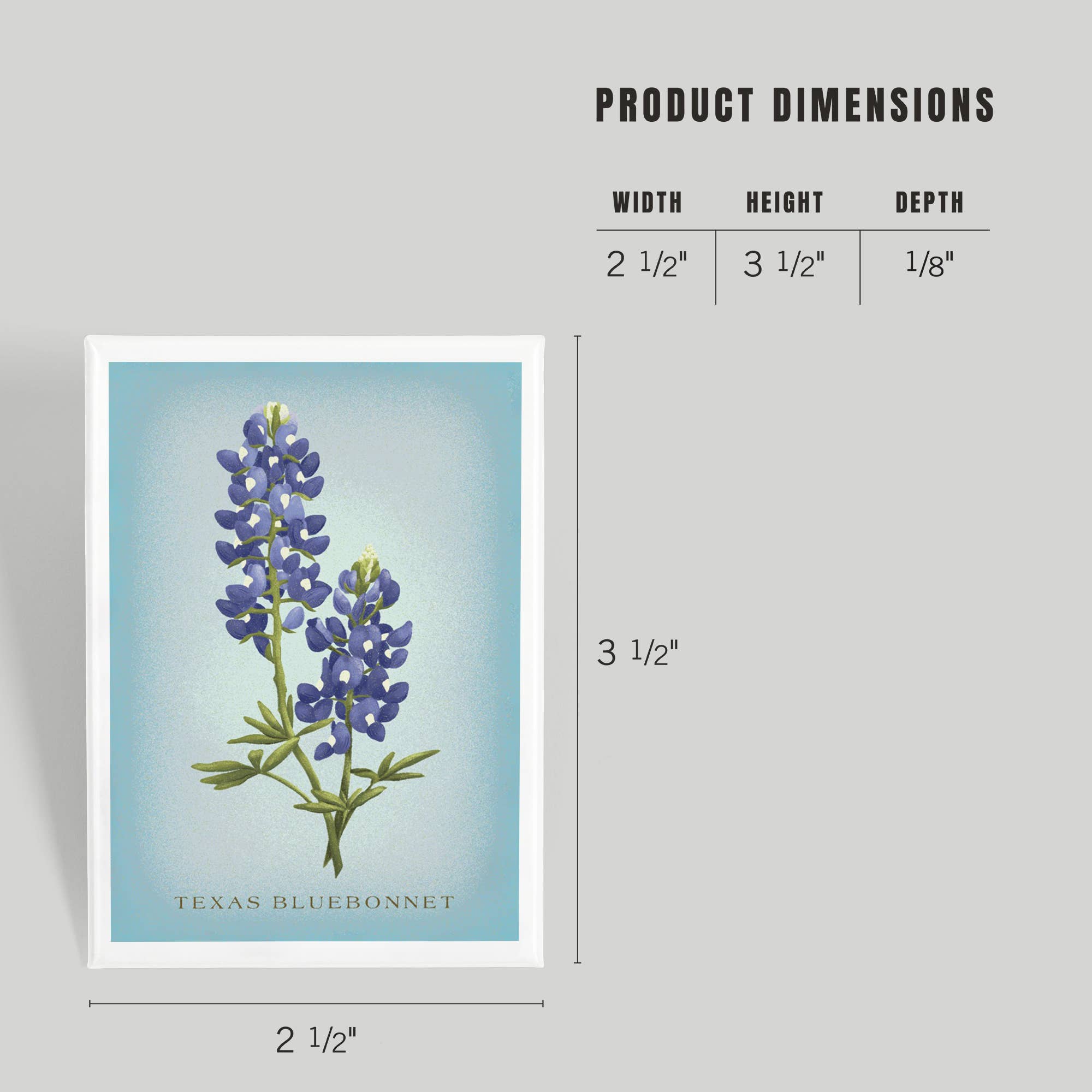 MAGNET Texas Bluebonnet, Vintage Flora