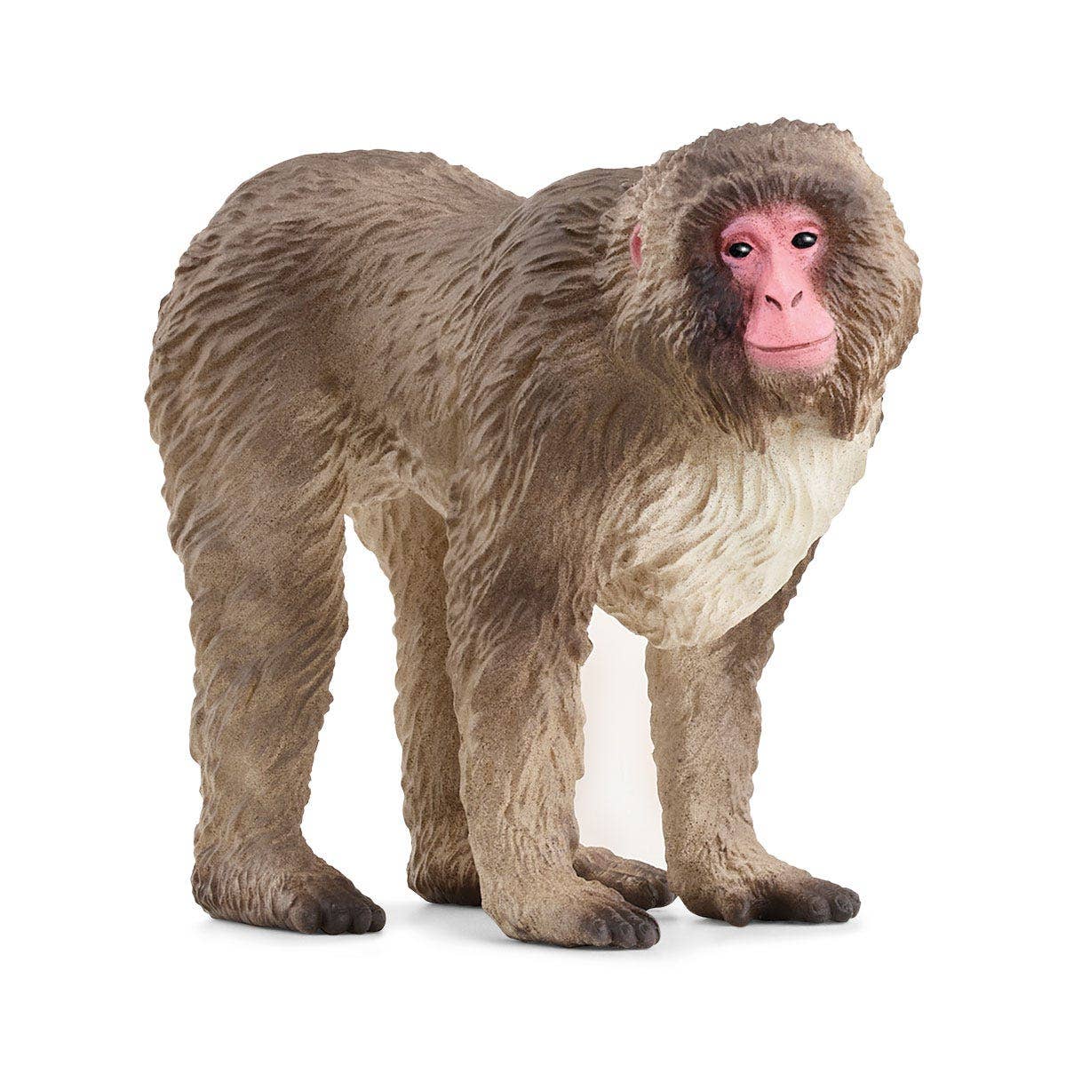 Japanese Macaque  Animal Toy
