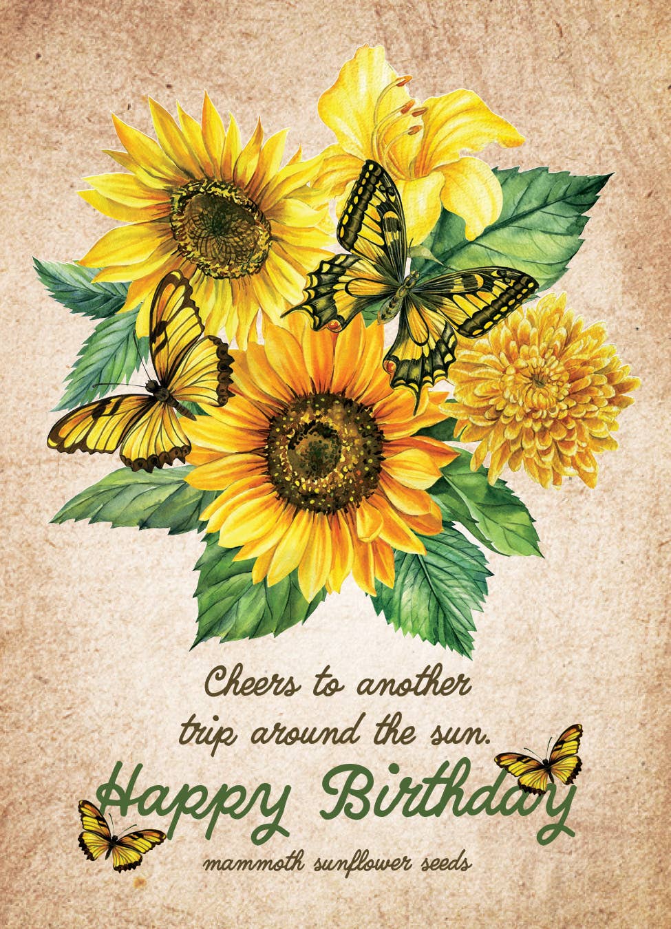 Bentley Seed Co. - Happy Birthday Sunflower Mammoth Sunflower Seed Packets