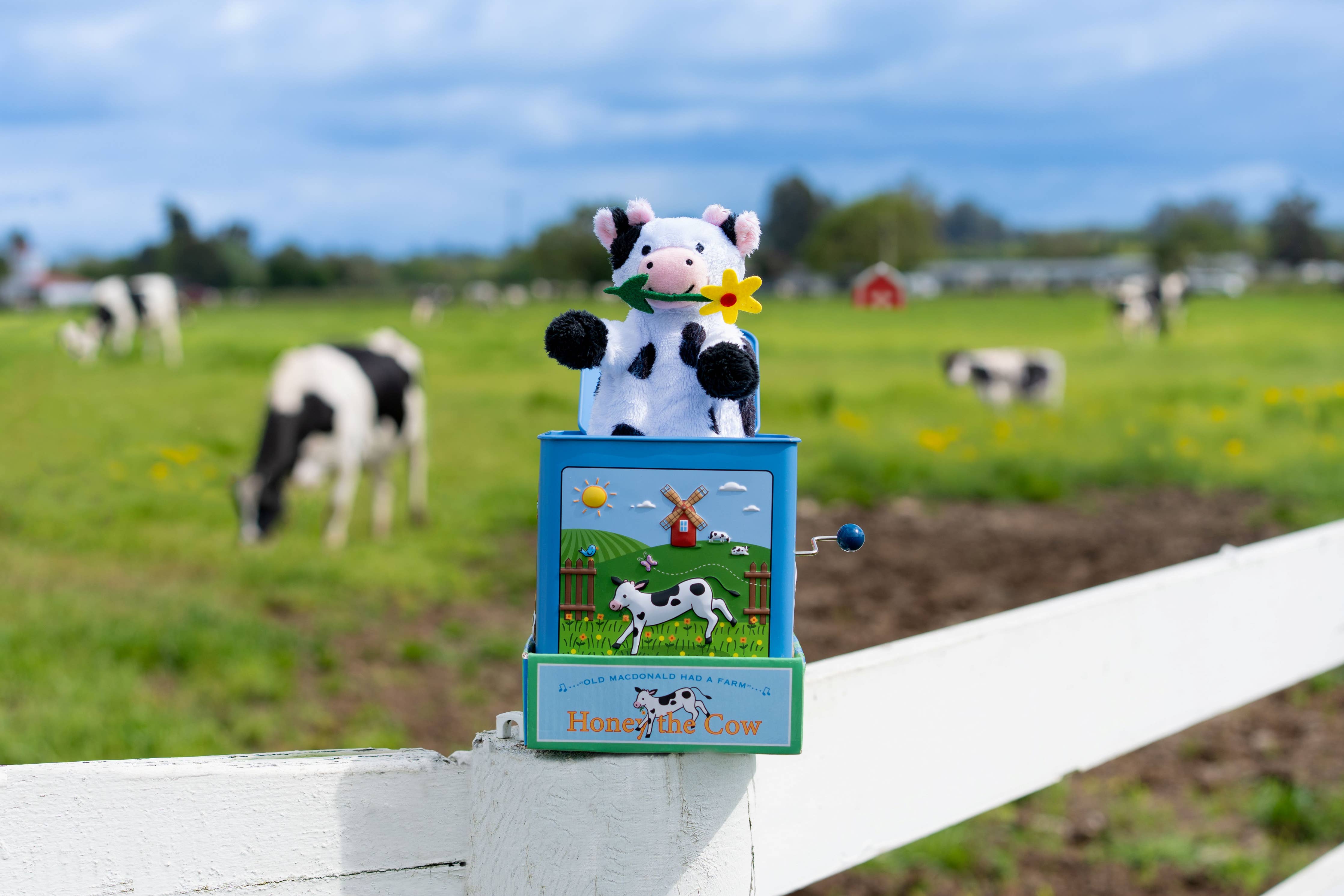 Honey the Cow Jack in the Box classic children's toy
