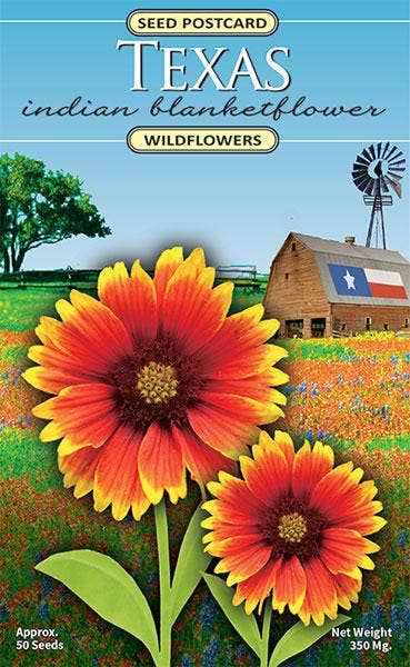 Texas Indian Blanketflower wildflower seed packet