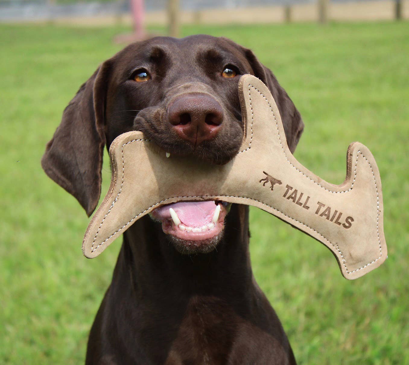 Tall Tails Leather Antler Dog Toy shown with packaging