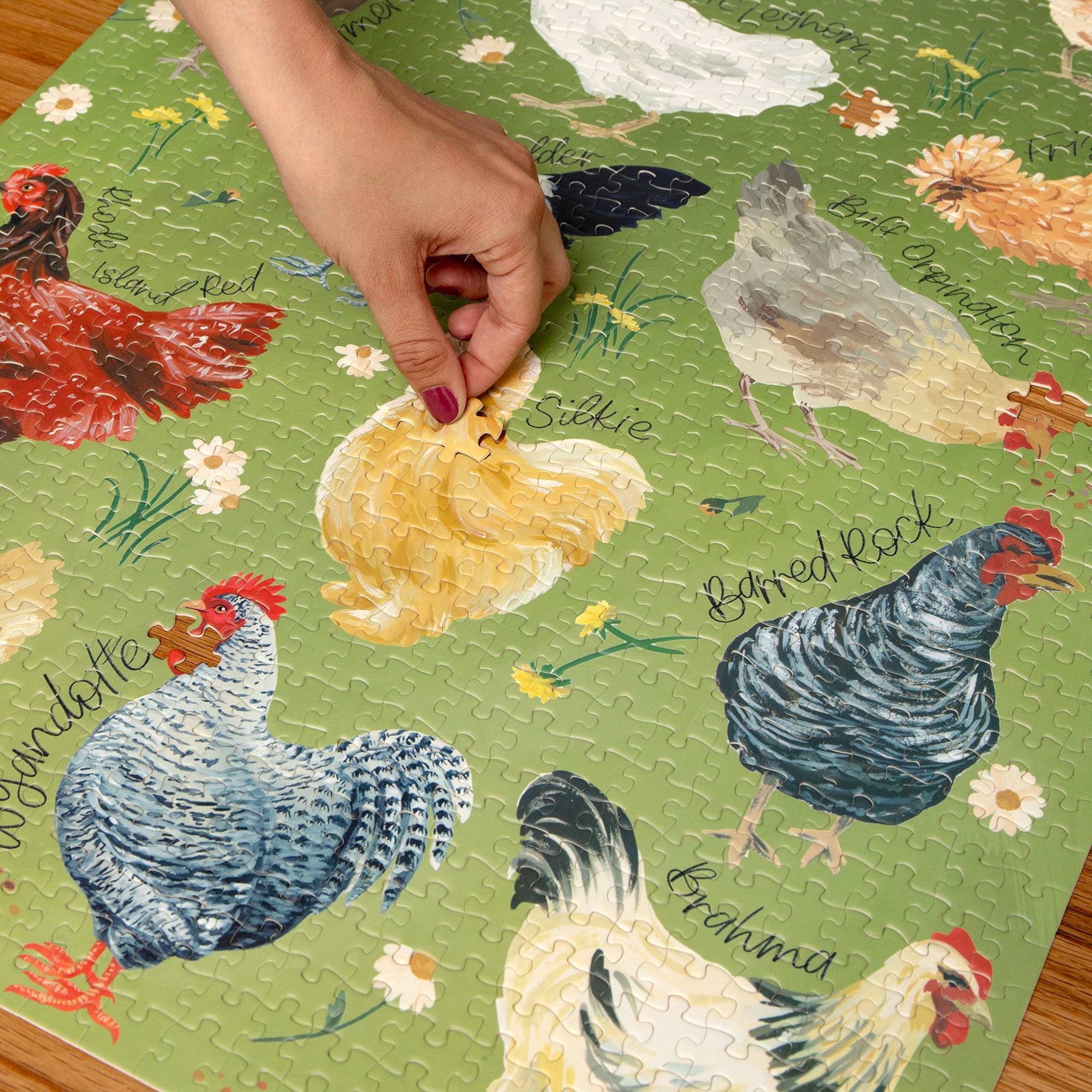 Chicken Meadows jigsaw puzzle assembled artwork full view
