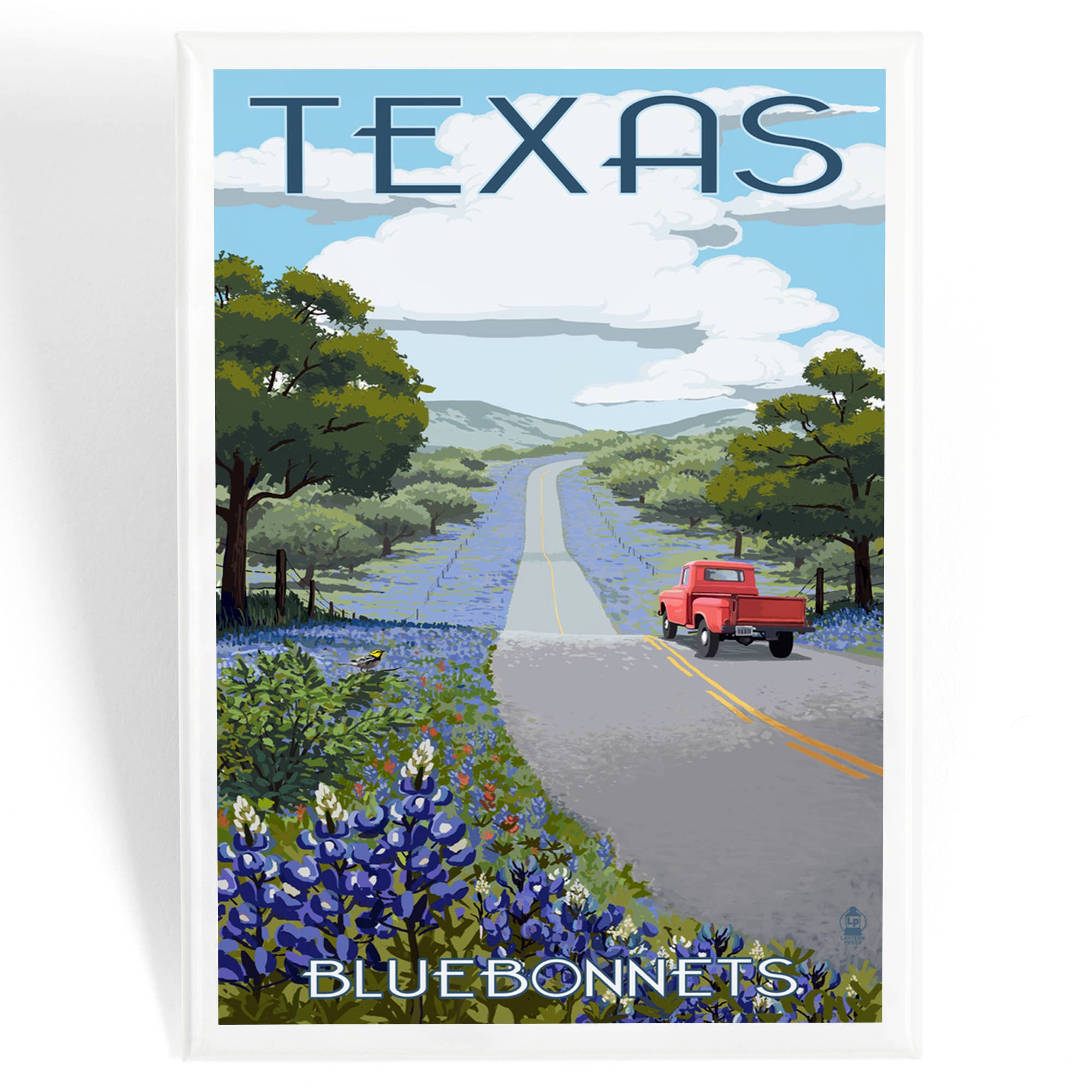 MAGNET Texas, Bluebonnets & Highway