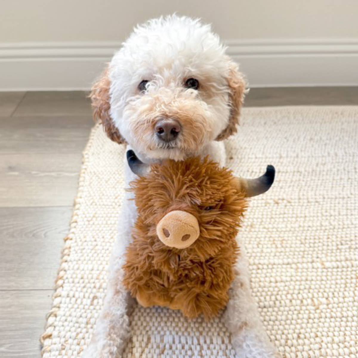 Highland Cow with Squeaker Dog Toy