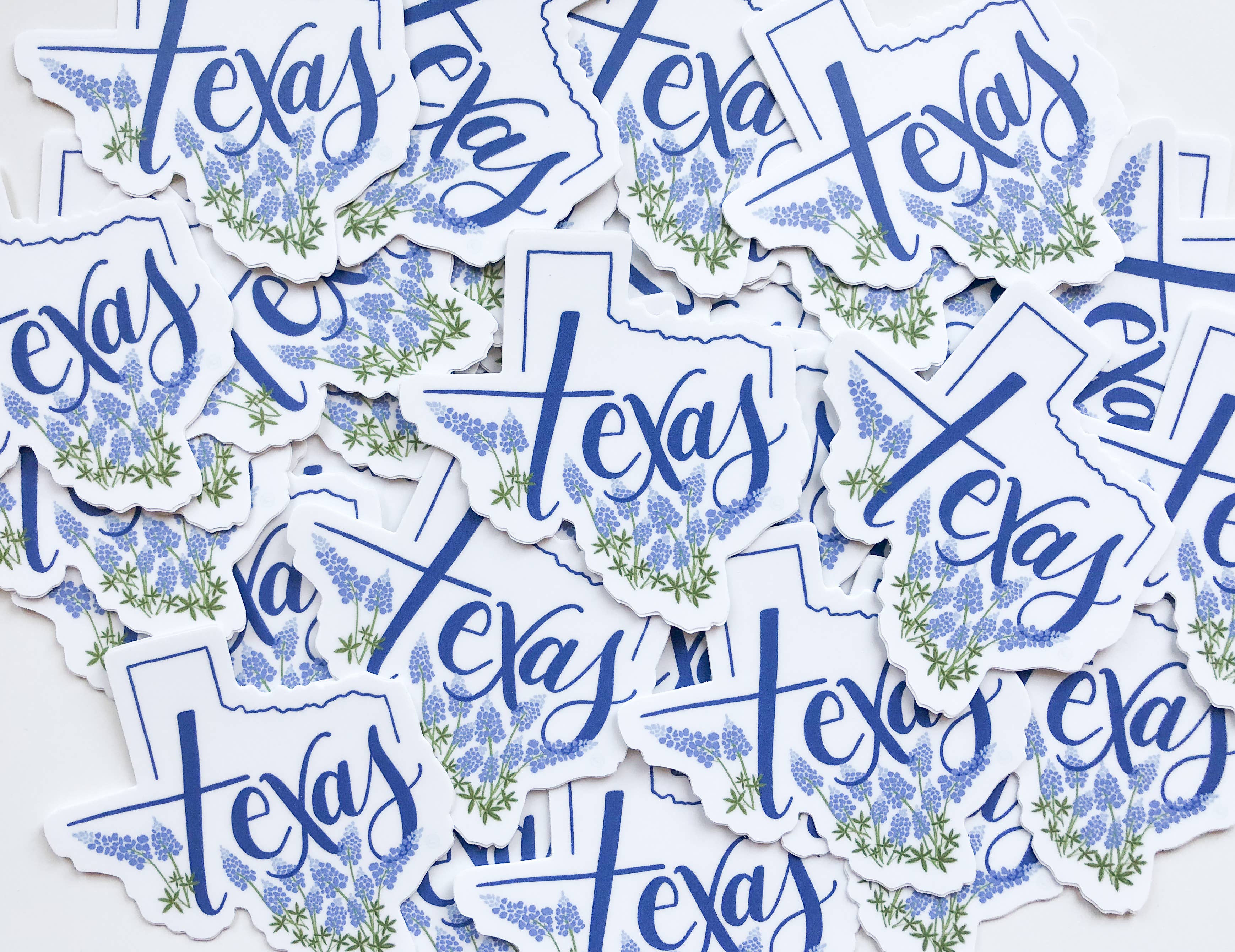 Texas state bluebonnet sticker