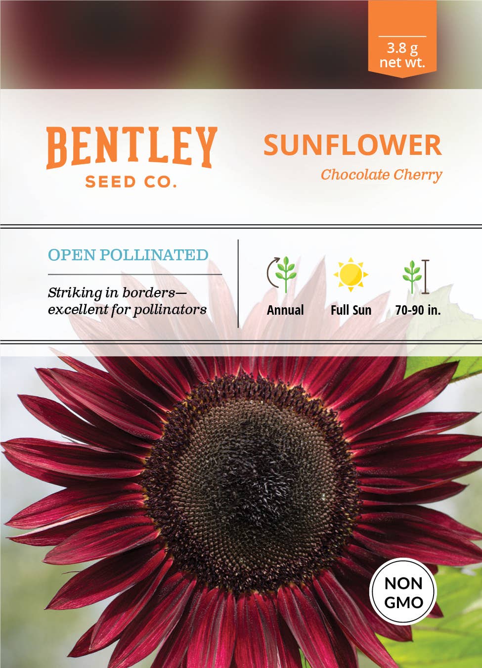 Bentley Seed Co. - Sunflower Chocolate Cherry Seed Packets