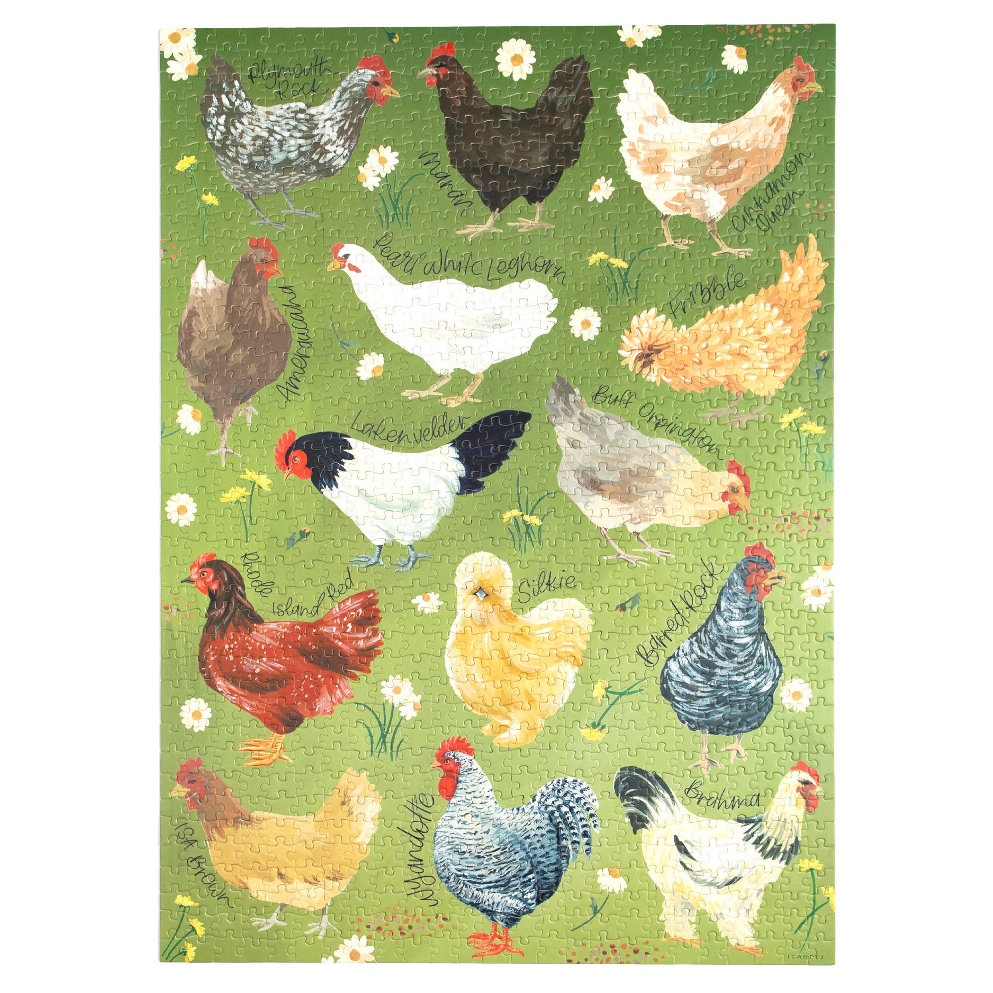 Chicken Meadows jigsaw puzzle completed chicken scene detail
