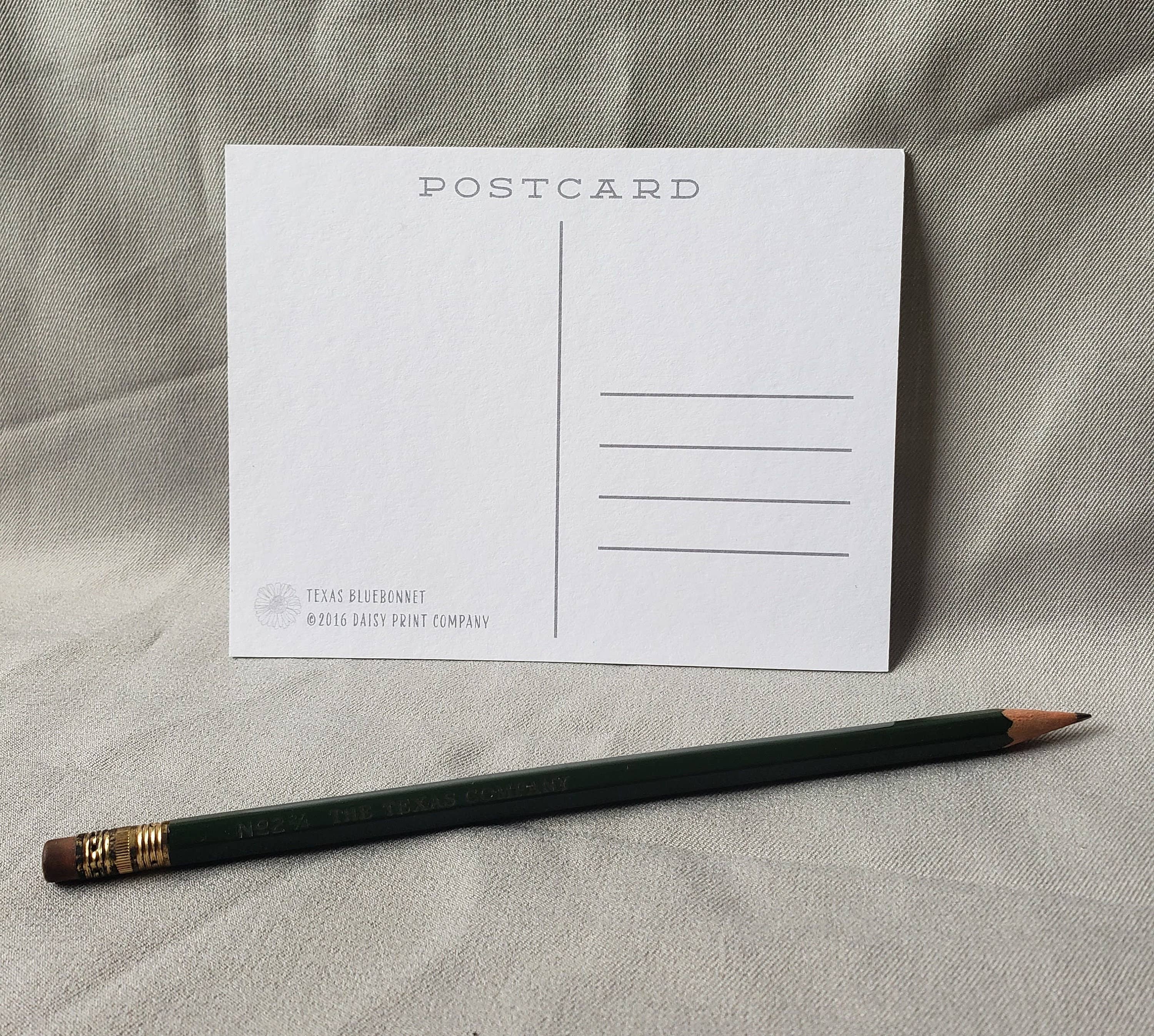 Texas Bluebonnet - State Flower Postcards