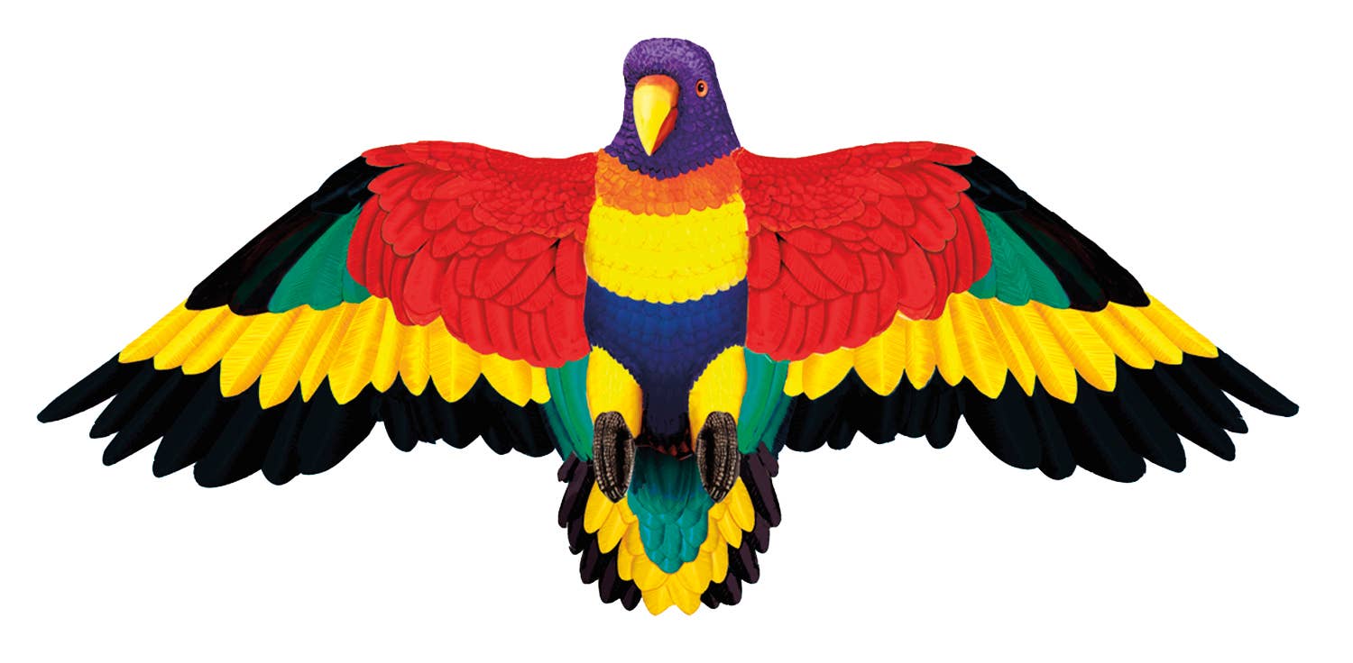 Gayla Flapper Kites, Assorted Bird Shaped Kites